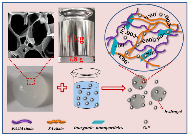 Polymers | Free Full-Text | Assembly of Polyacrylamide-Sodium Alginate