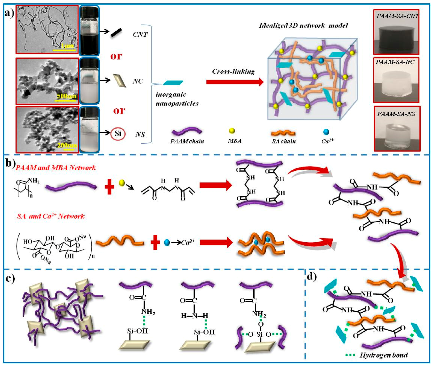 Polymers 11 01239 g004 Polymers 11 01239 g004