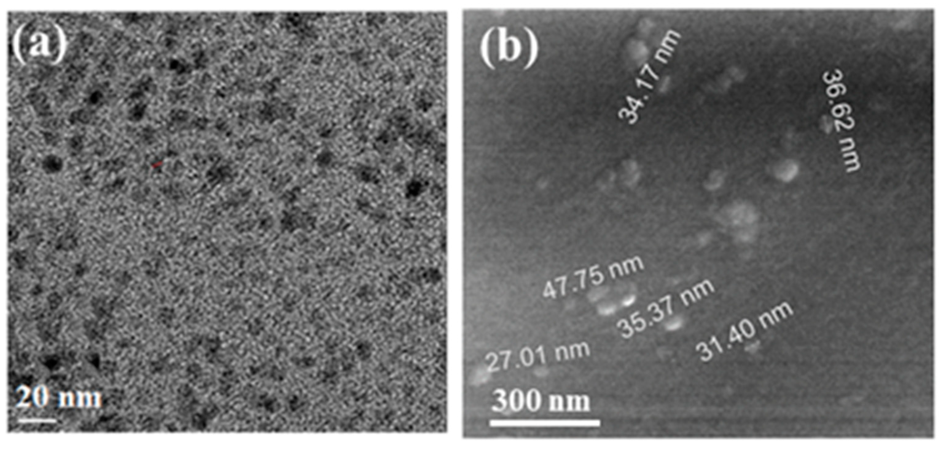 Polymers 11 01240 g001 Polymers 11 01240 g001