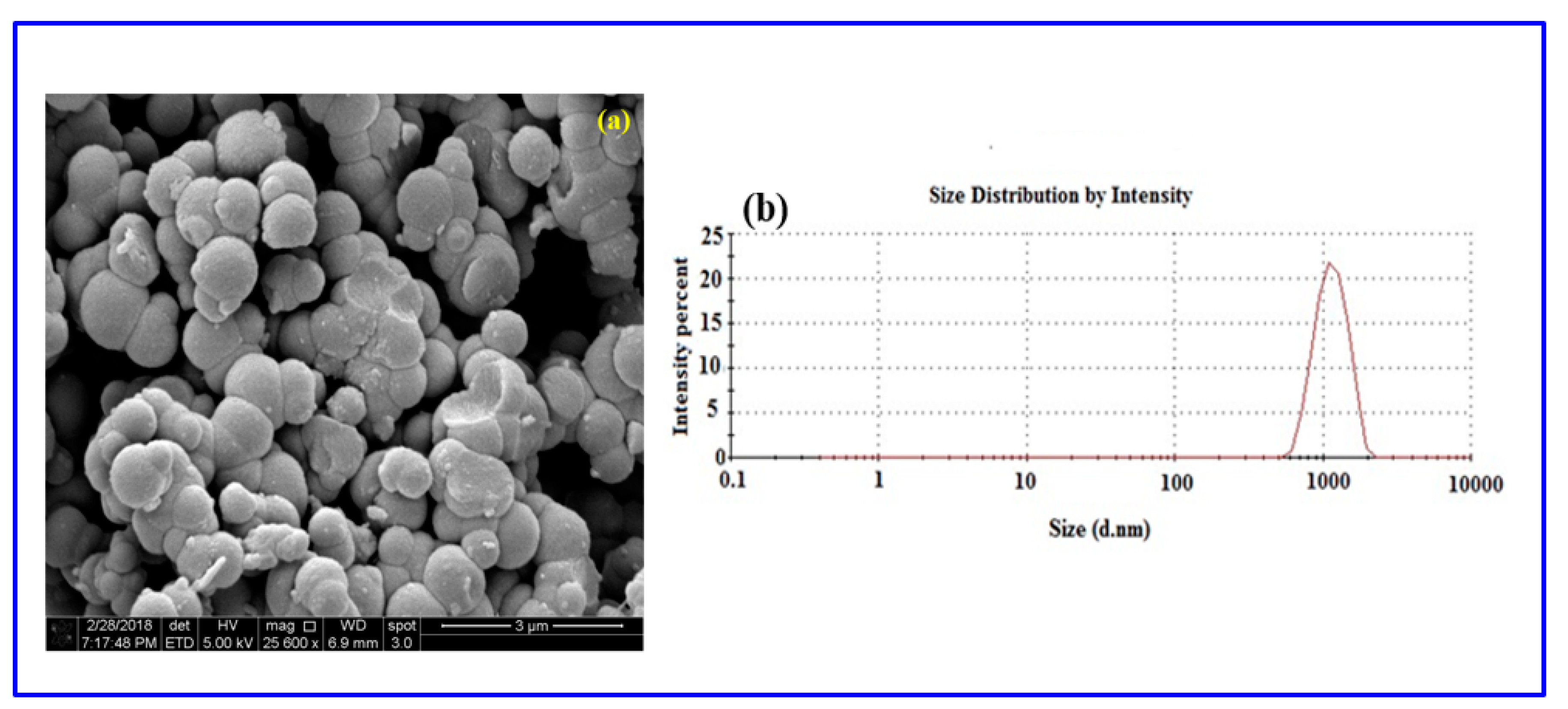 Polymers 11 01240 g009 Polymers 11 01240 g009