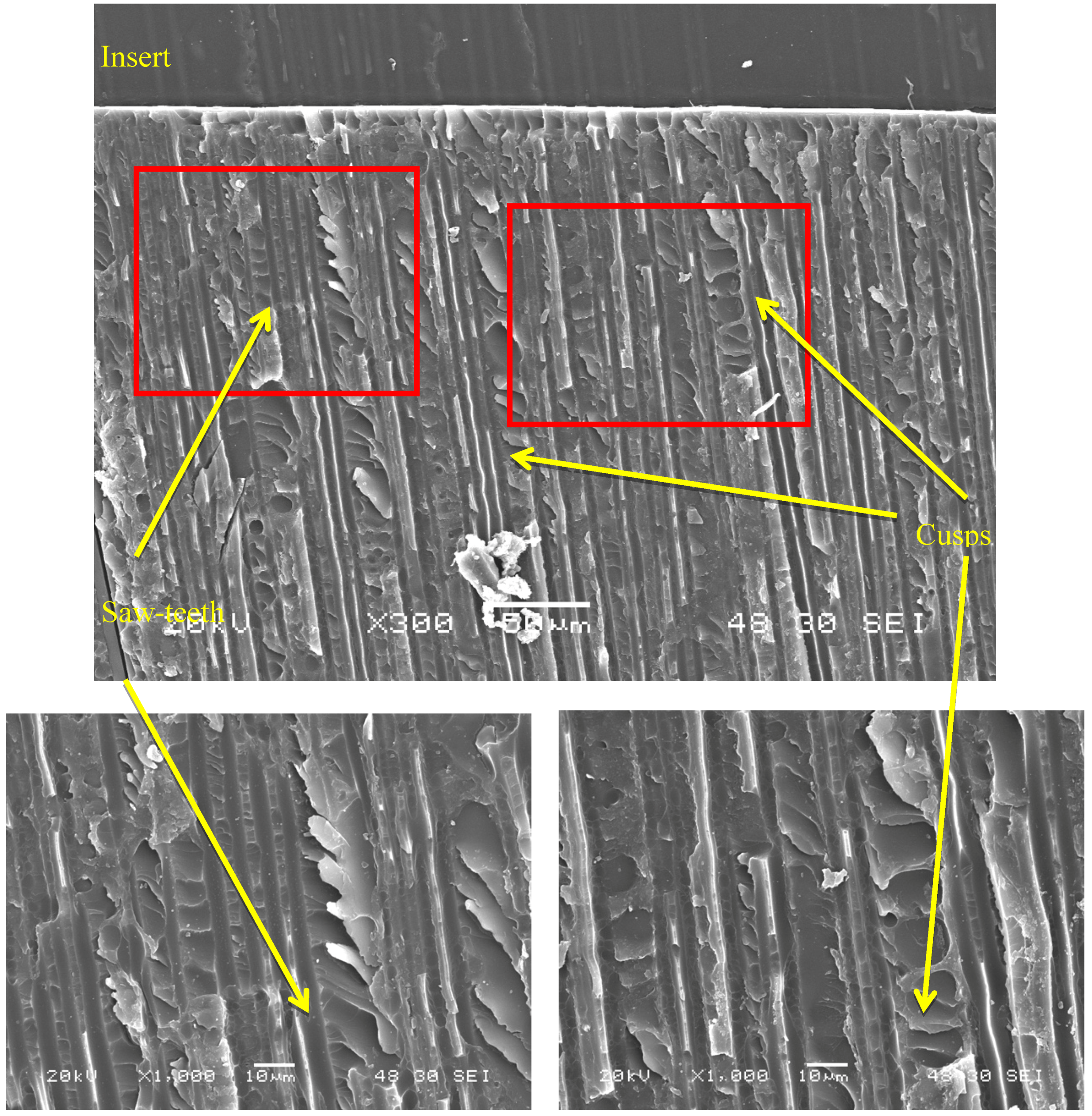 Polymers 11 01243 g005