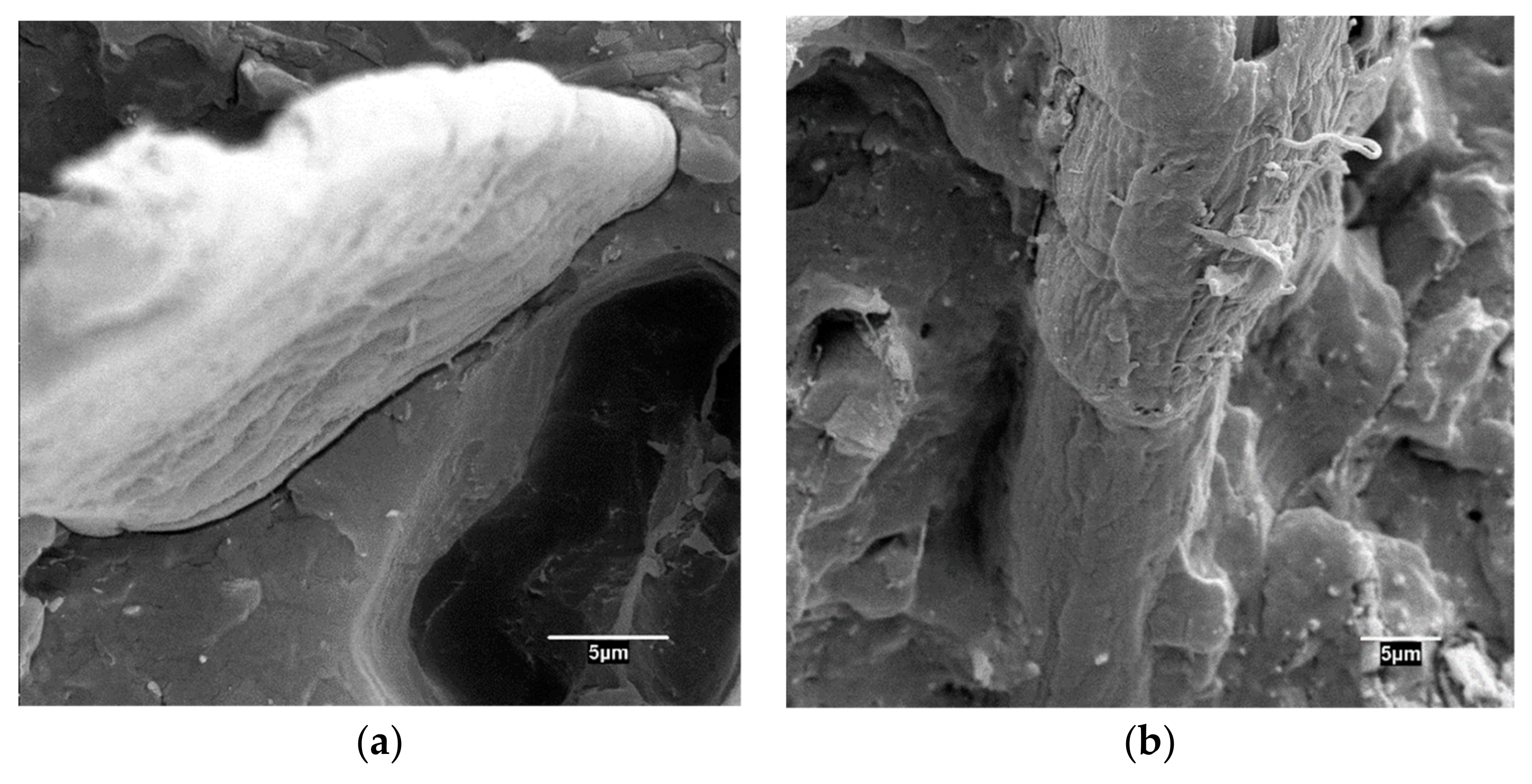 Polymers 11 01244 g002 Polymers 11 01244 g002