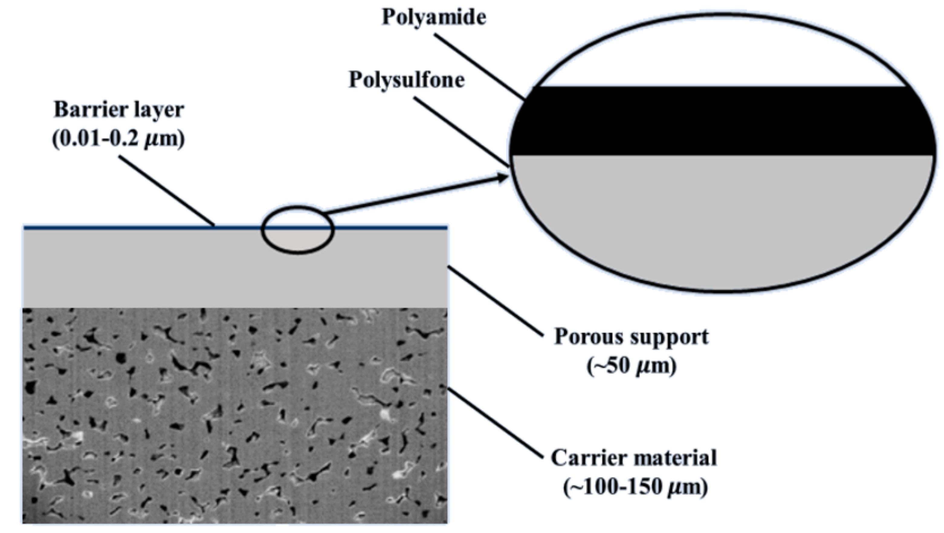 Polymers 11 01252 g003 Polymers 11 01252 g003