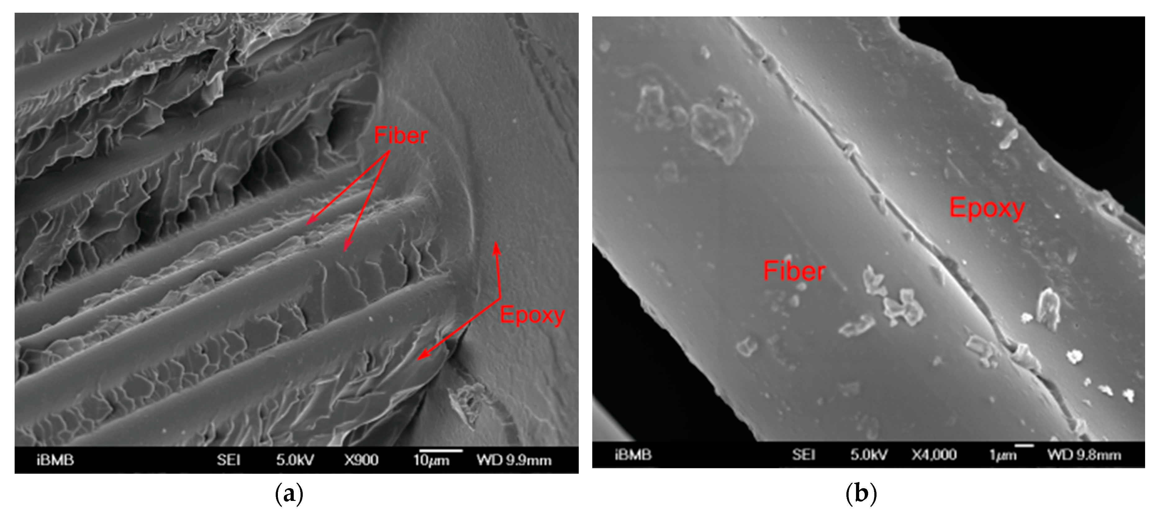 Polymers 11 01255 g007