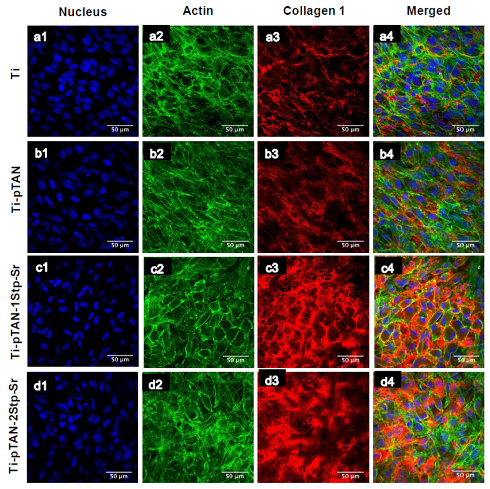 Polymers 11 01256 g007 Polymers 11 01256 g007