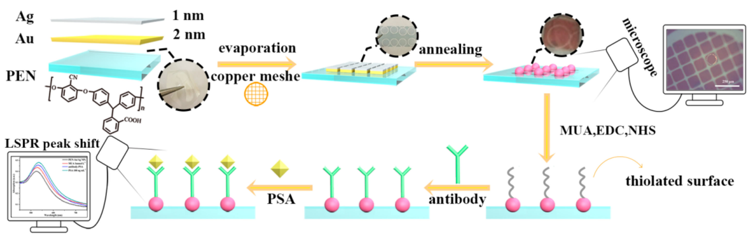 Polymers 11 01257 sch001 Polymers 11 01257 sch001