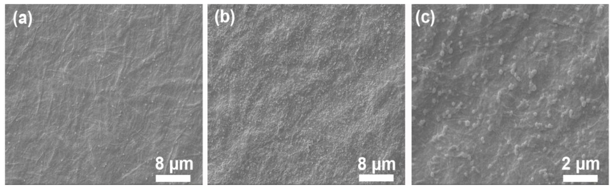 Polymers 11 01258 g004 Polymers 11 01258 g004