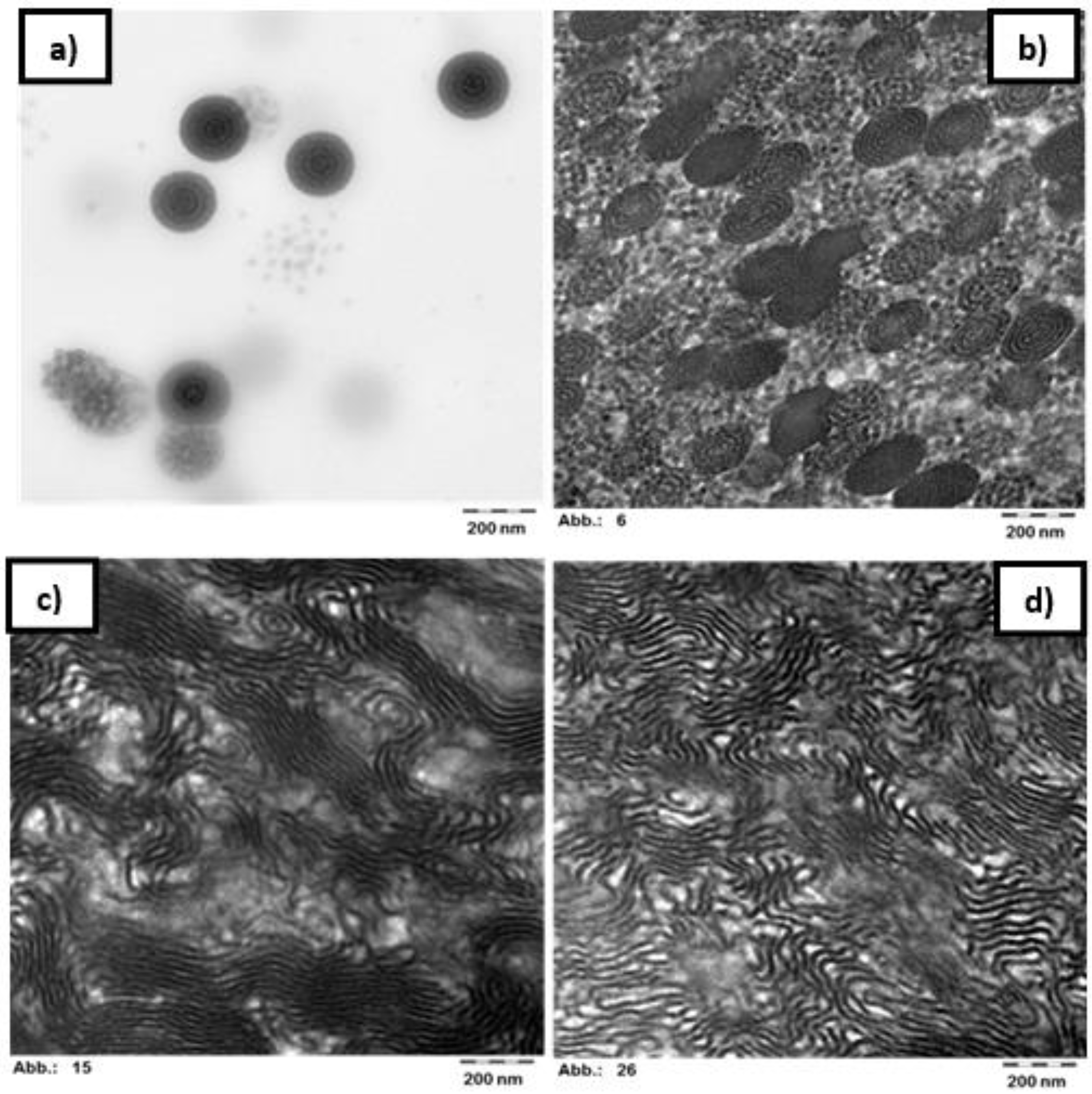 Polymers 11 01259 g008