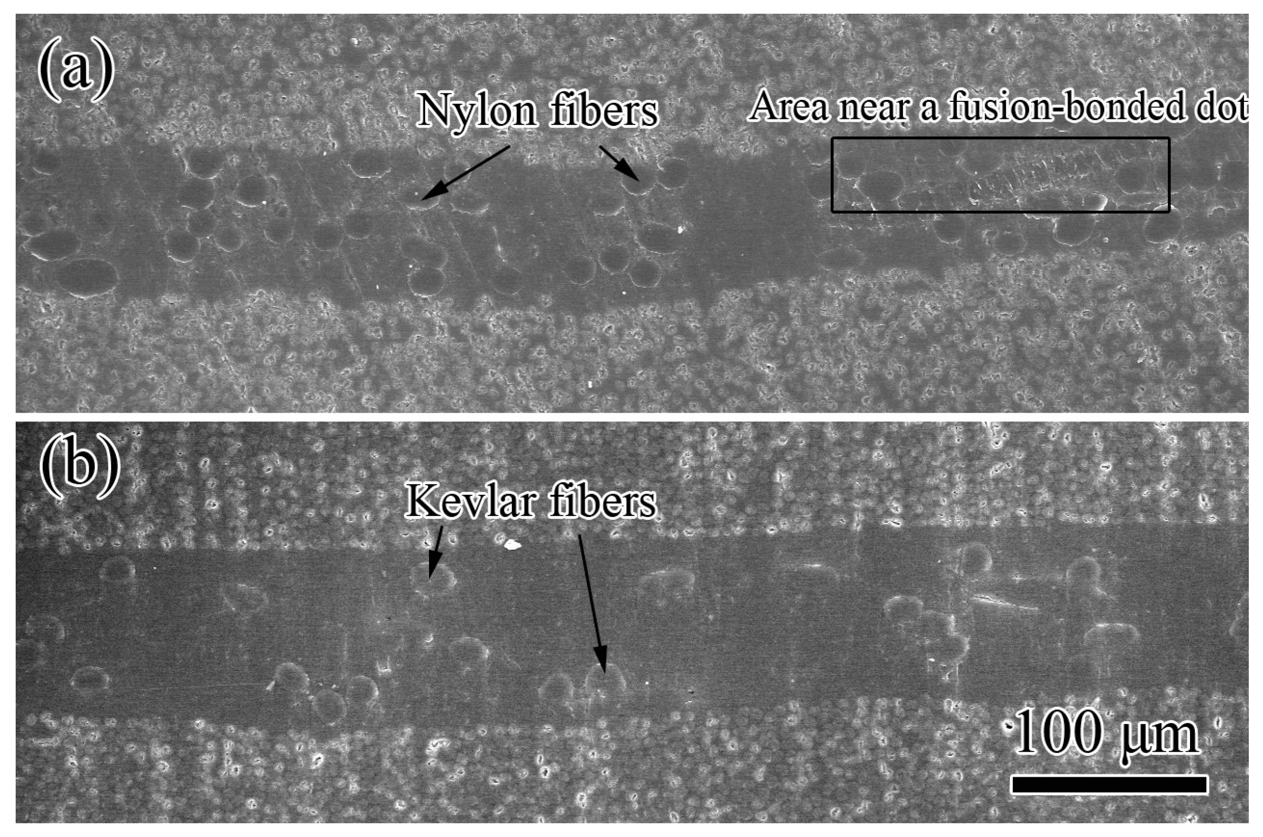Polymers 11 01260 g003