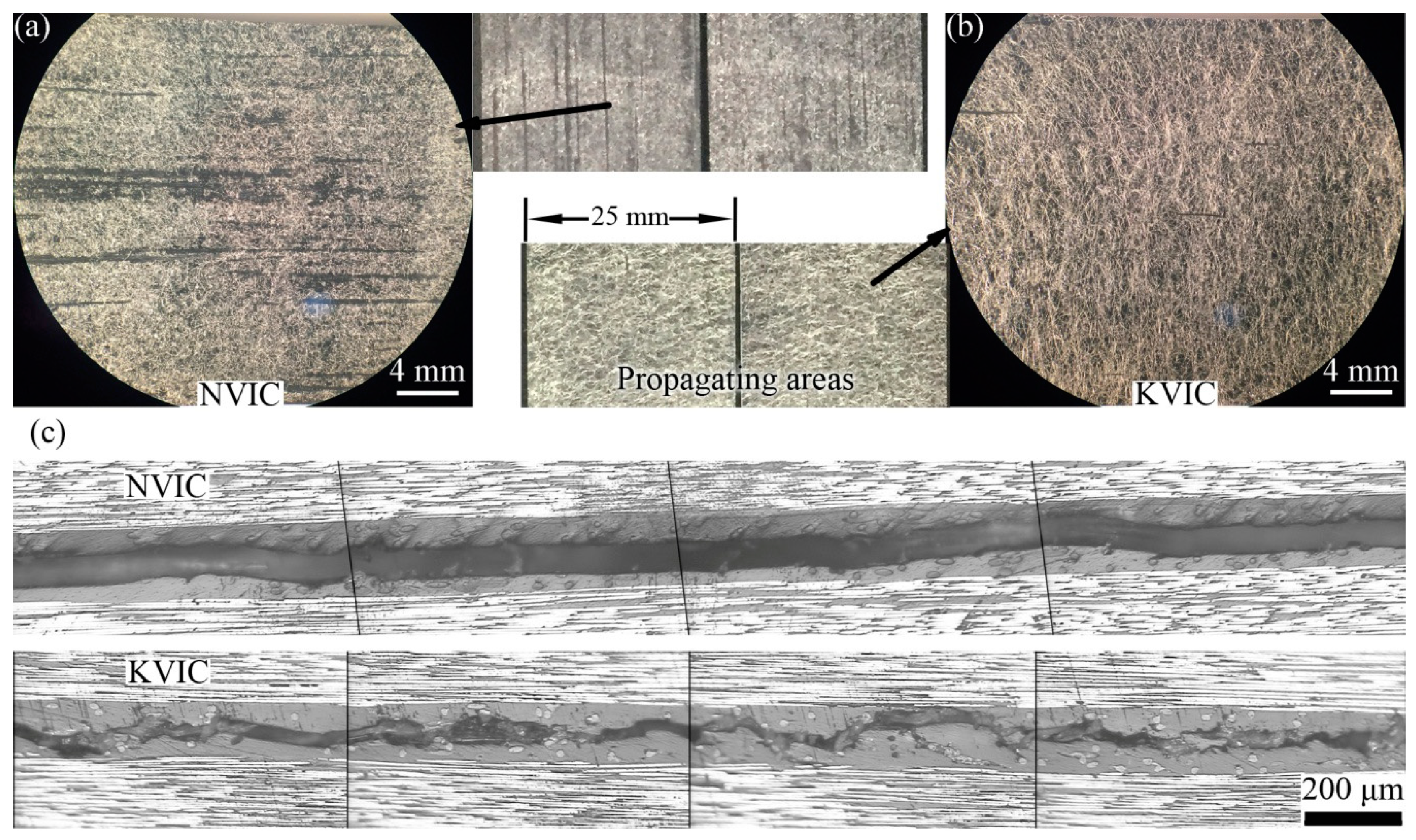 Polymers 11 01260 g004