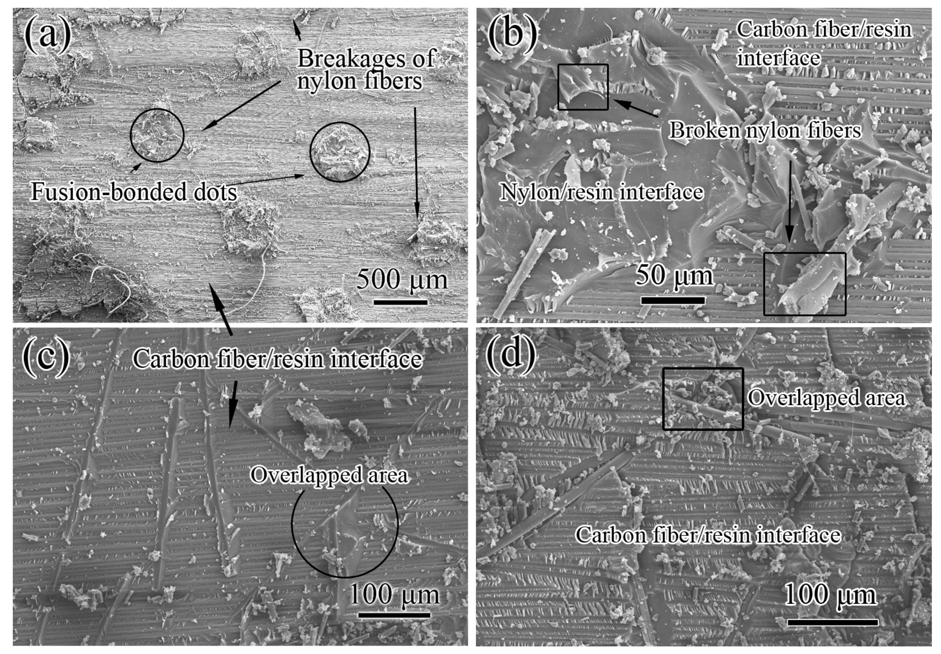 Polymers 11 01260 g007