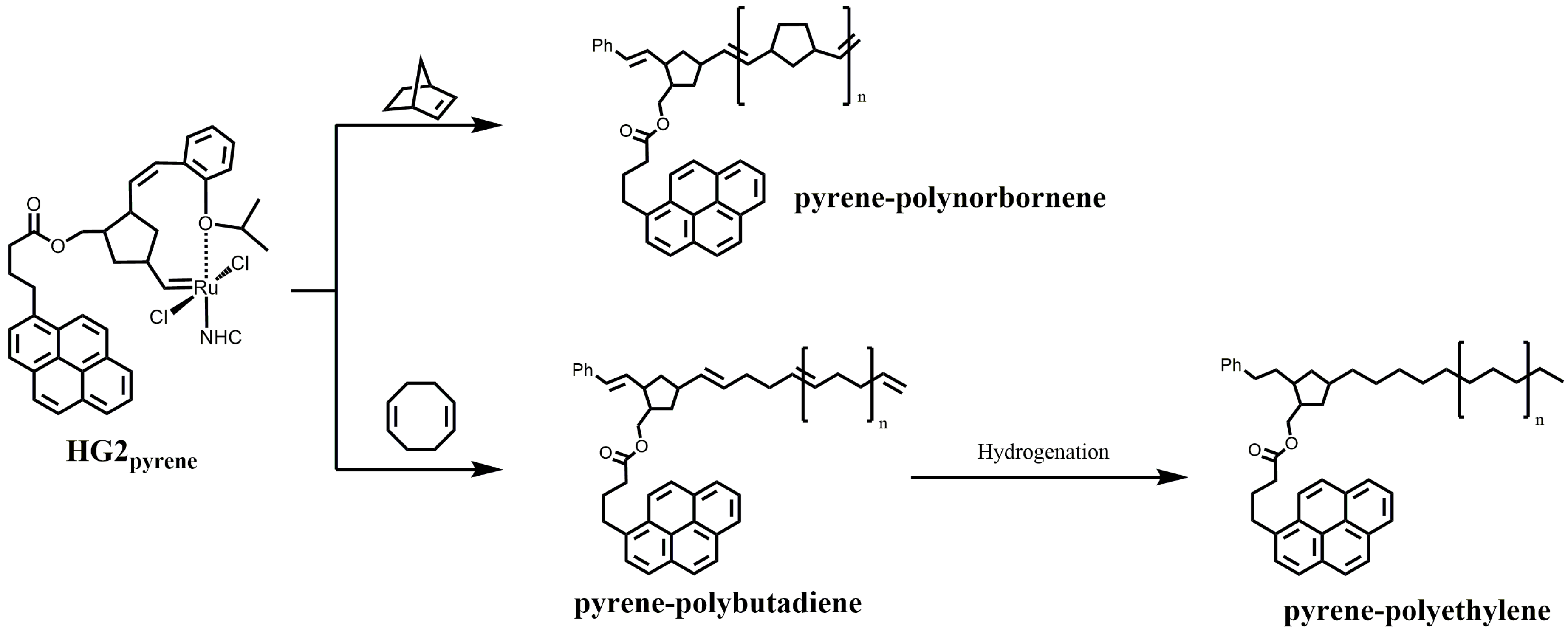 Polymers 11 01261 g003