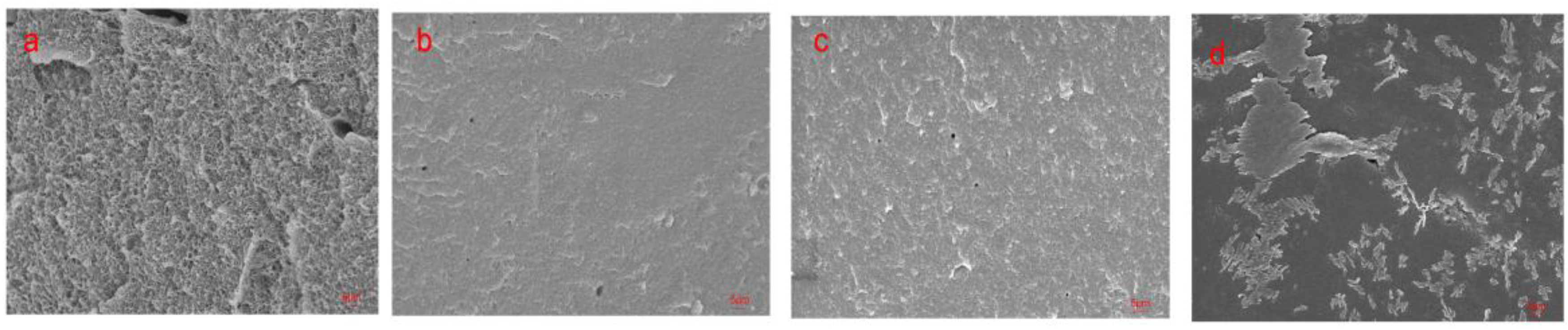 Polymers 11 01262 g005