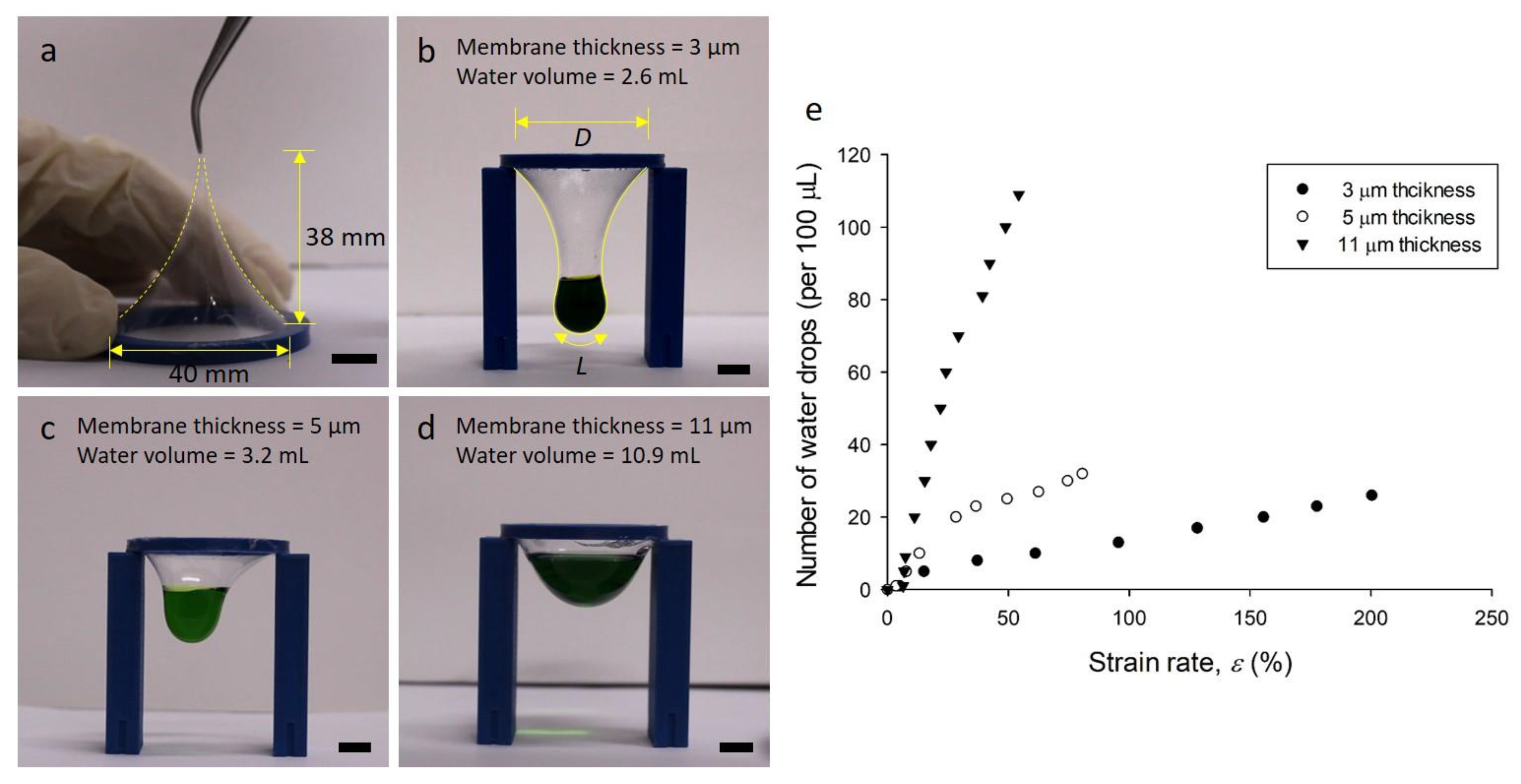 Polymers 11 01264 g003 Polymers 11 01264 g003