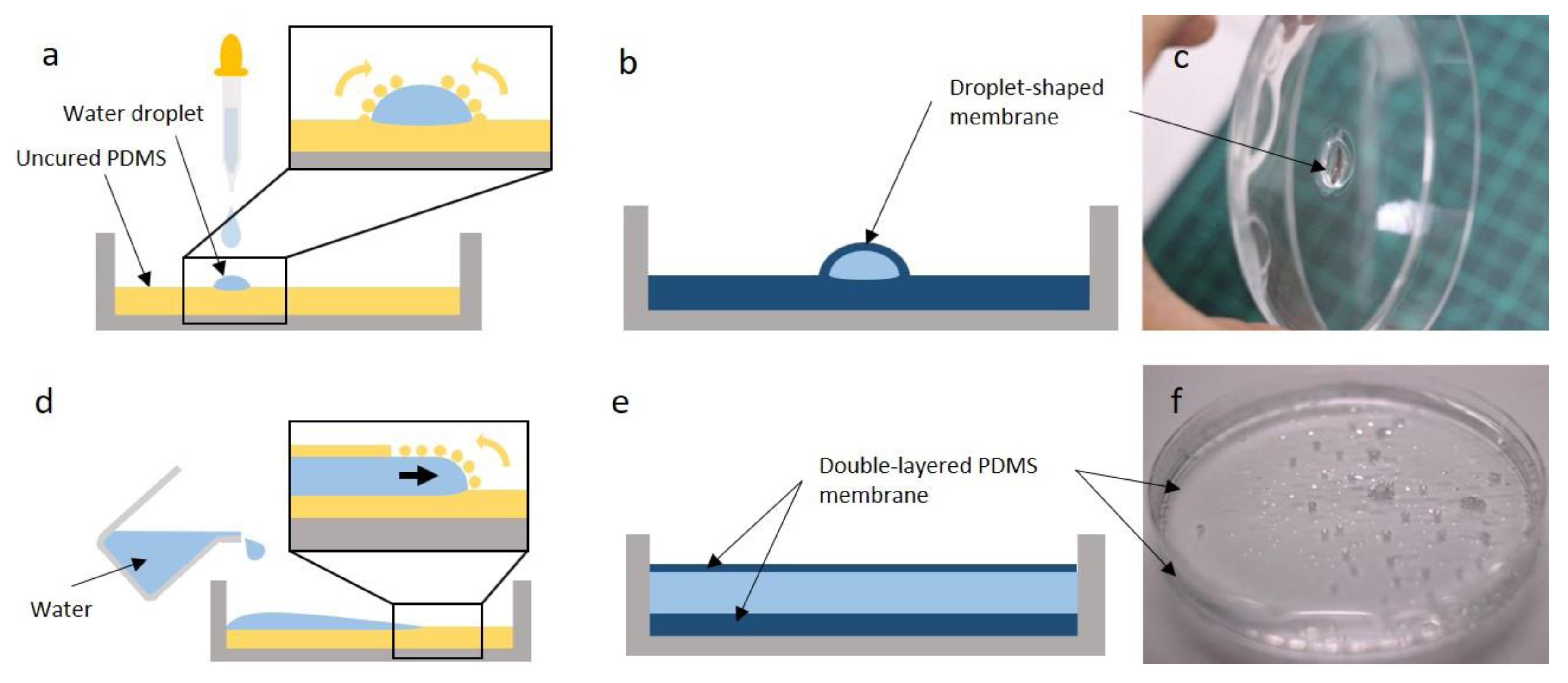 Polymers 11 01264 g004 Polymers 11 01264 g004