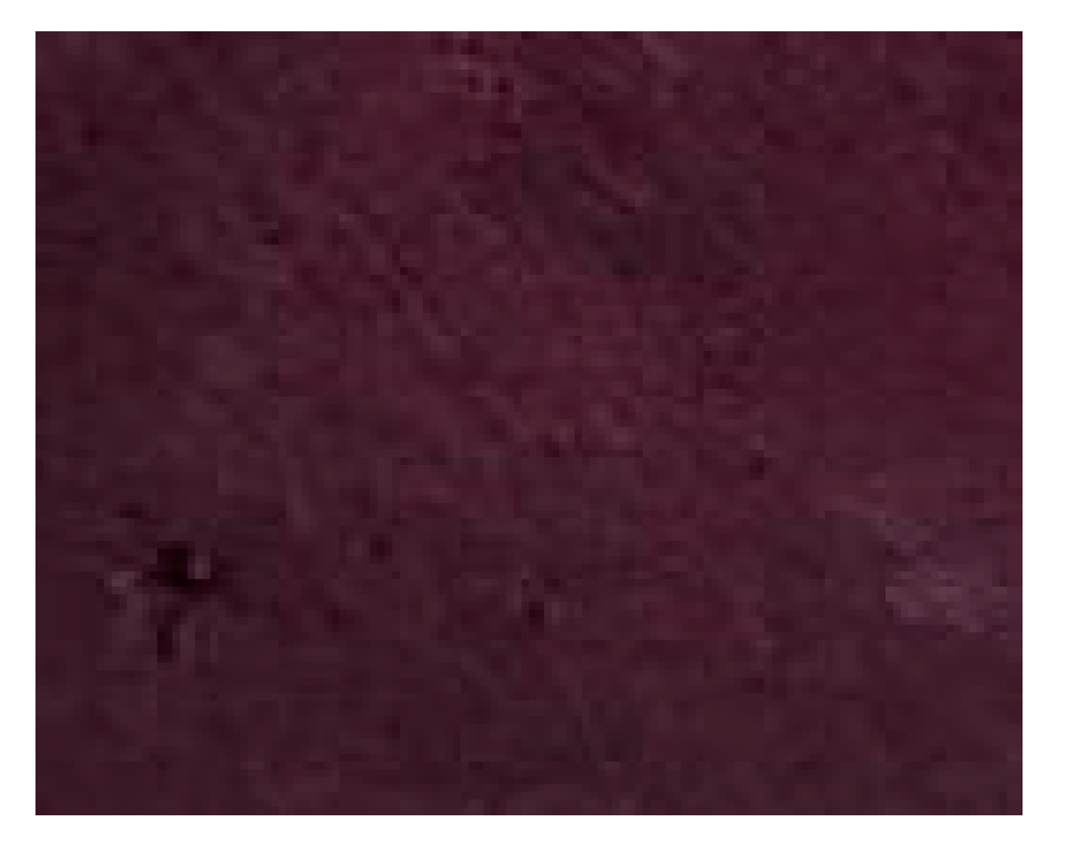 Polymers 11 01267 i005 Polymers 11 01267 i005