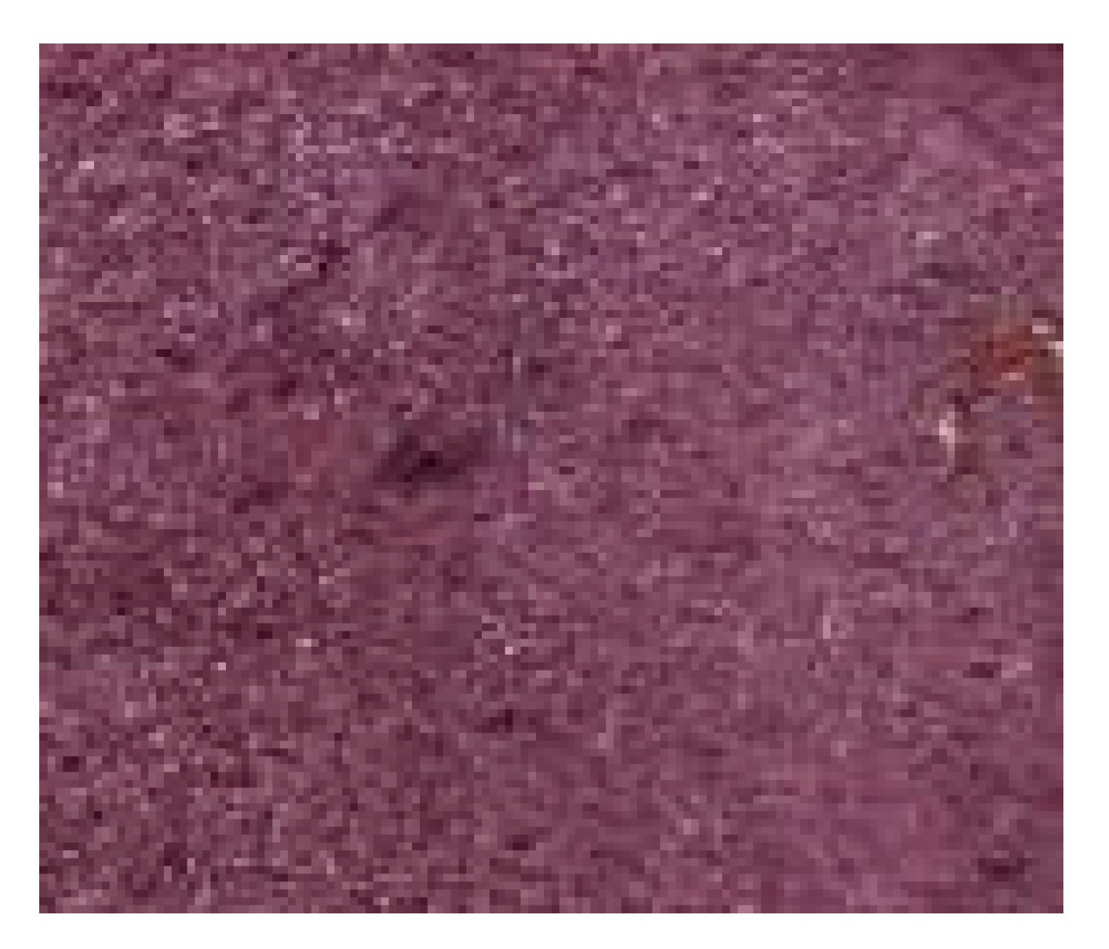 Polymers 11 01267 i012 Polymers 11 01267 i012