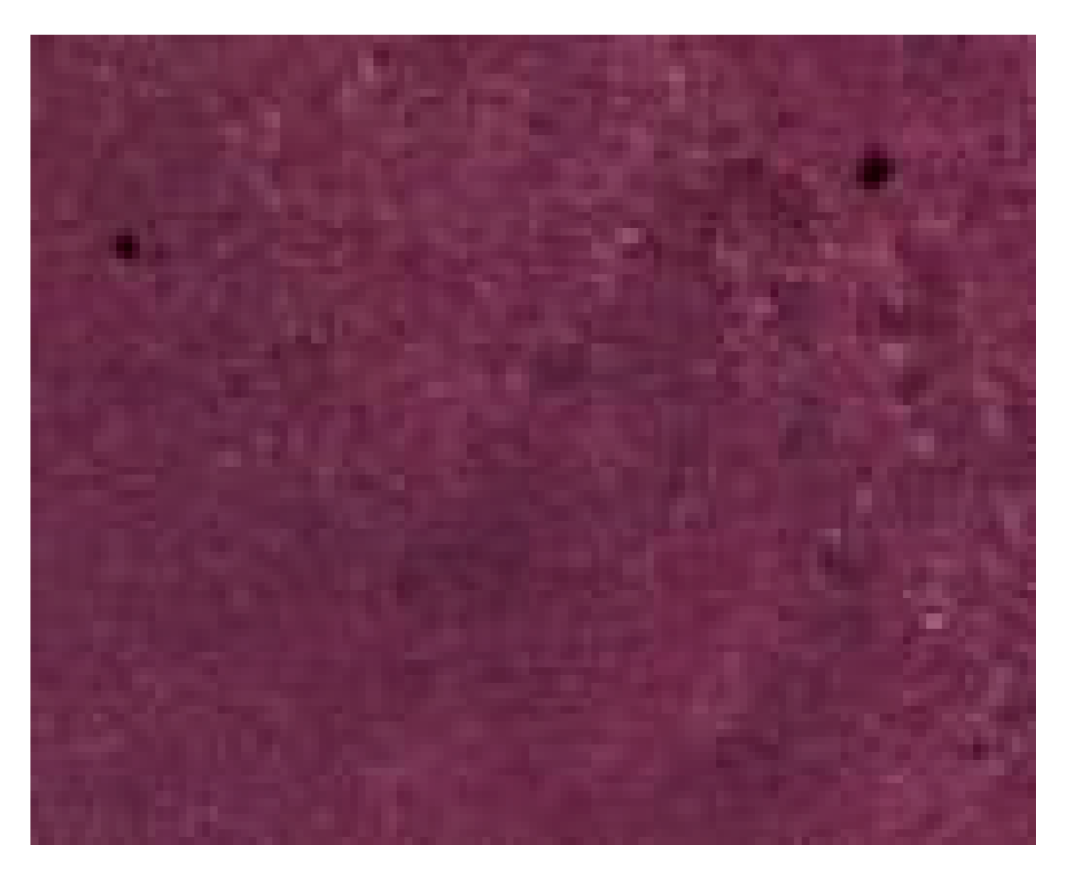 Polymers 11 01267 i013 Polymers 11 01267 i013