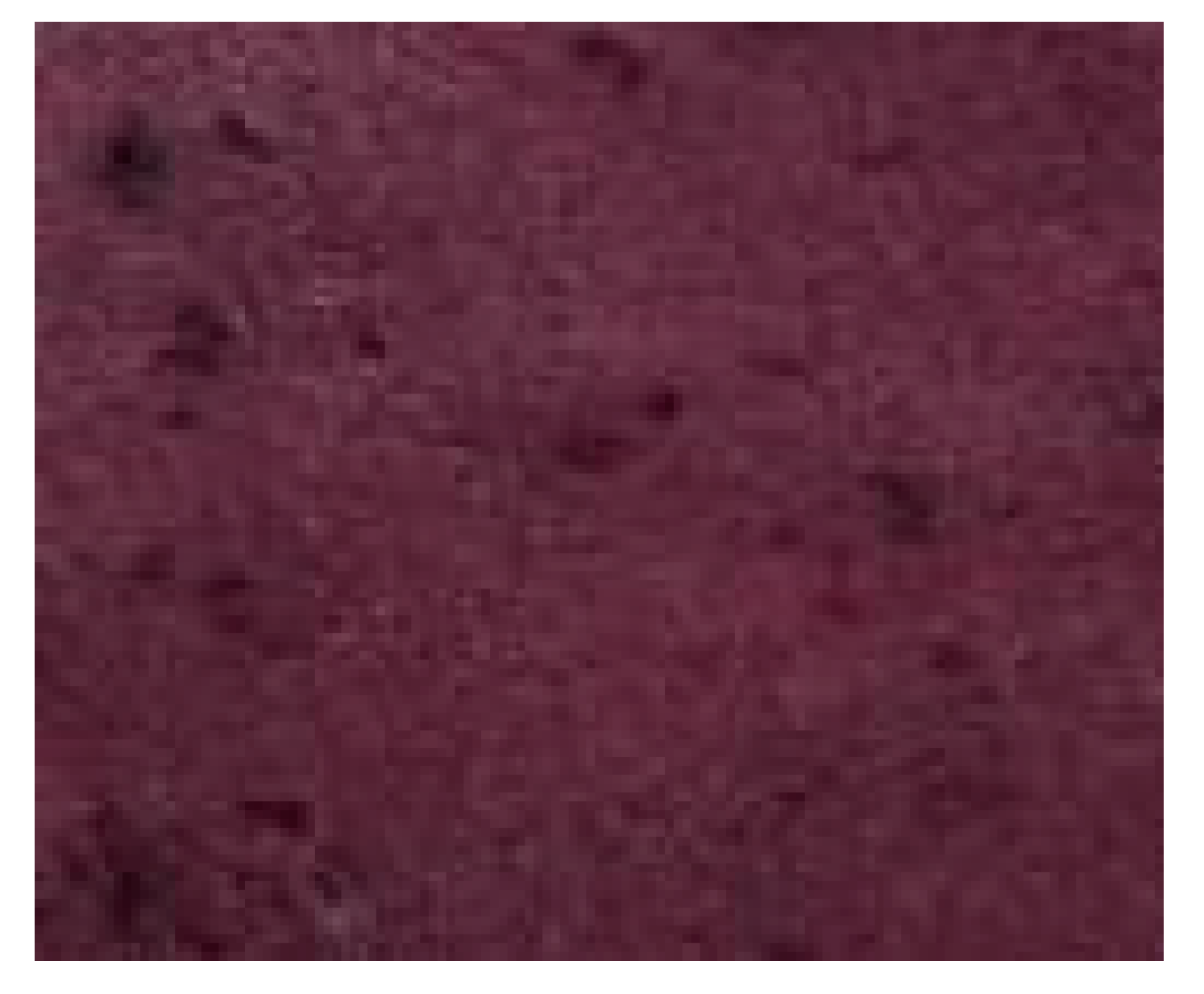 Polymers 11 01267 i014 Polymers 11 01267 i014