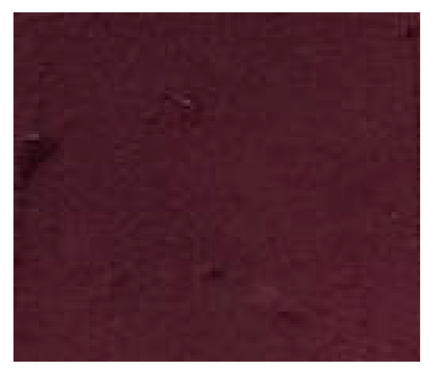 Polymers 11 01267 i021 Polymers 11 01267 i021