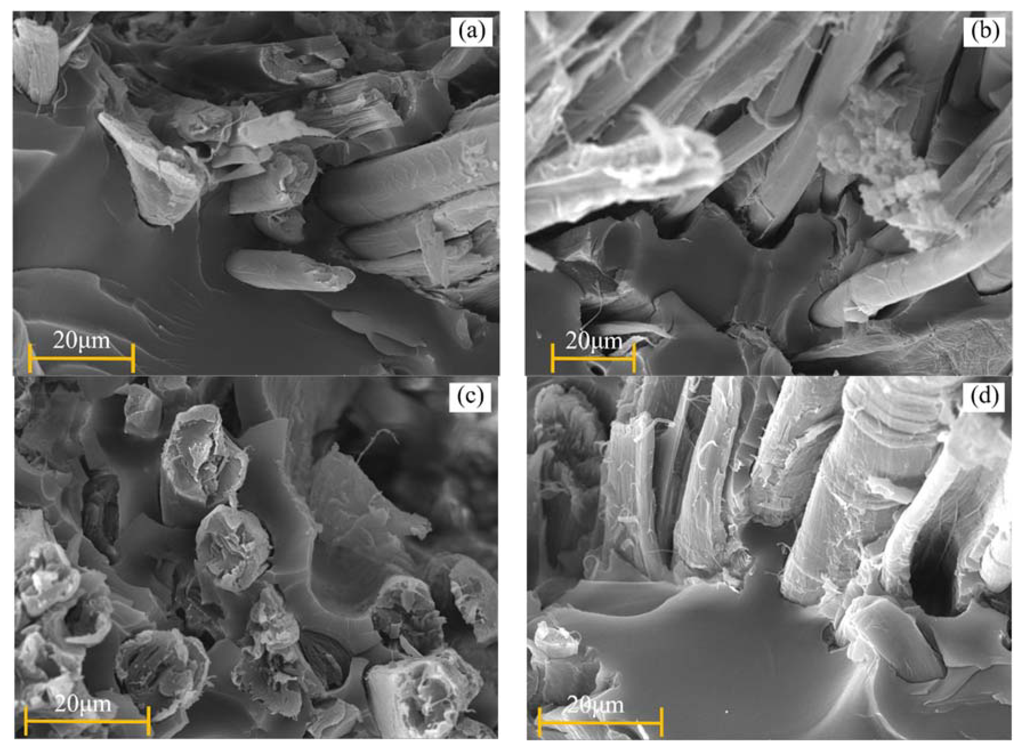 Polymers 11 01278 g013 Polymers 11 01278 g013