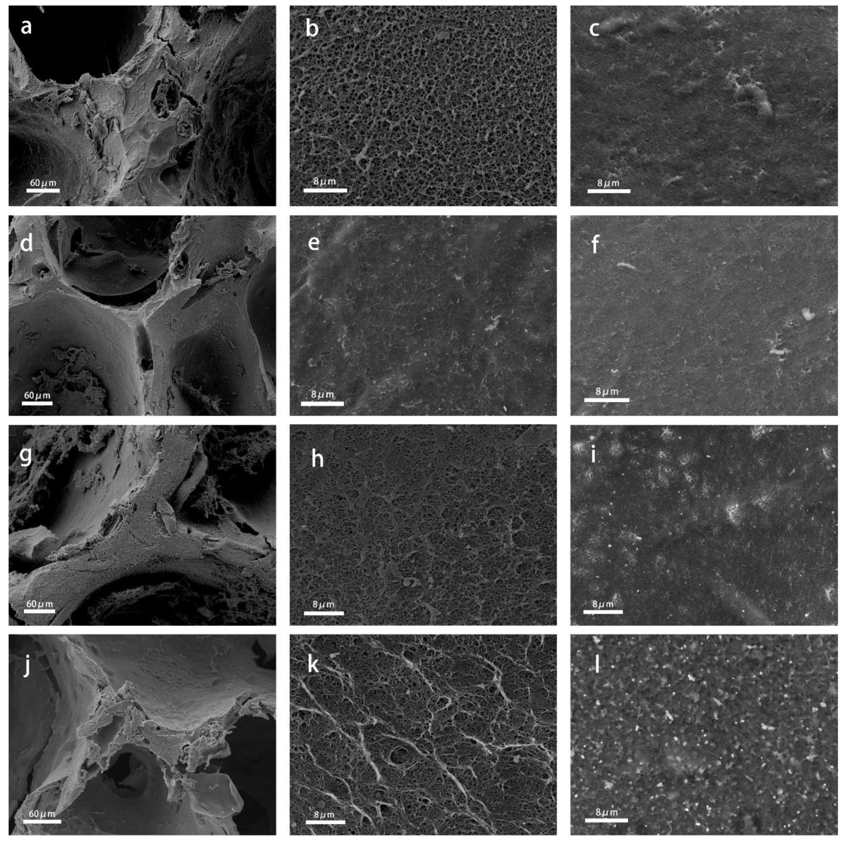 Polymers 11 01281 g002 Polymers 11 01281 g002