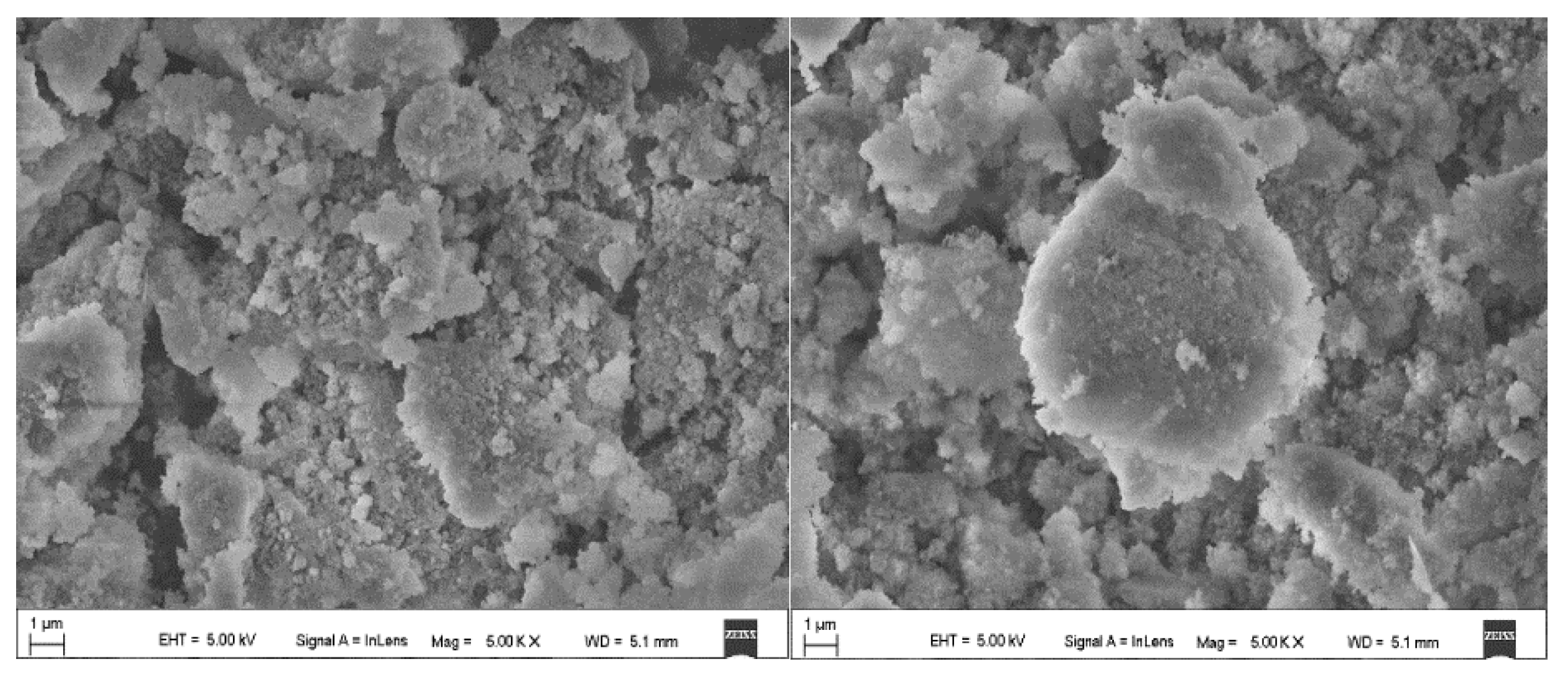 Polymers 11 01282 g004