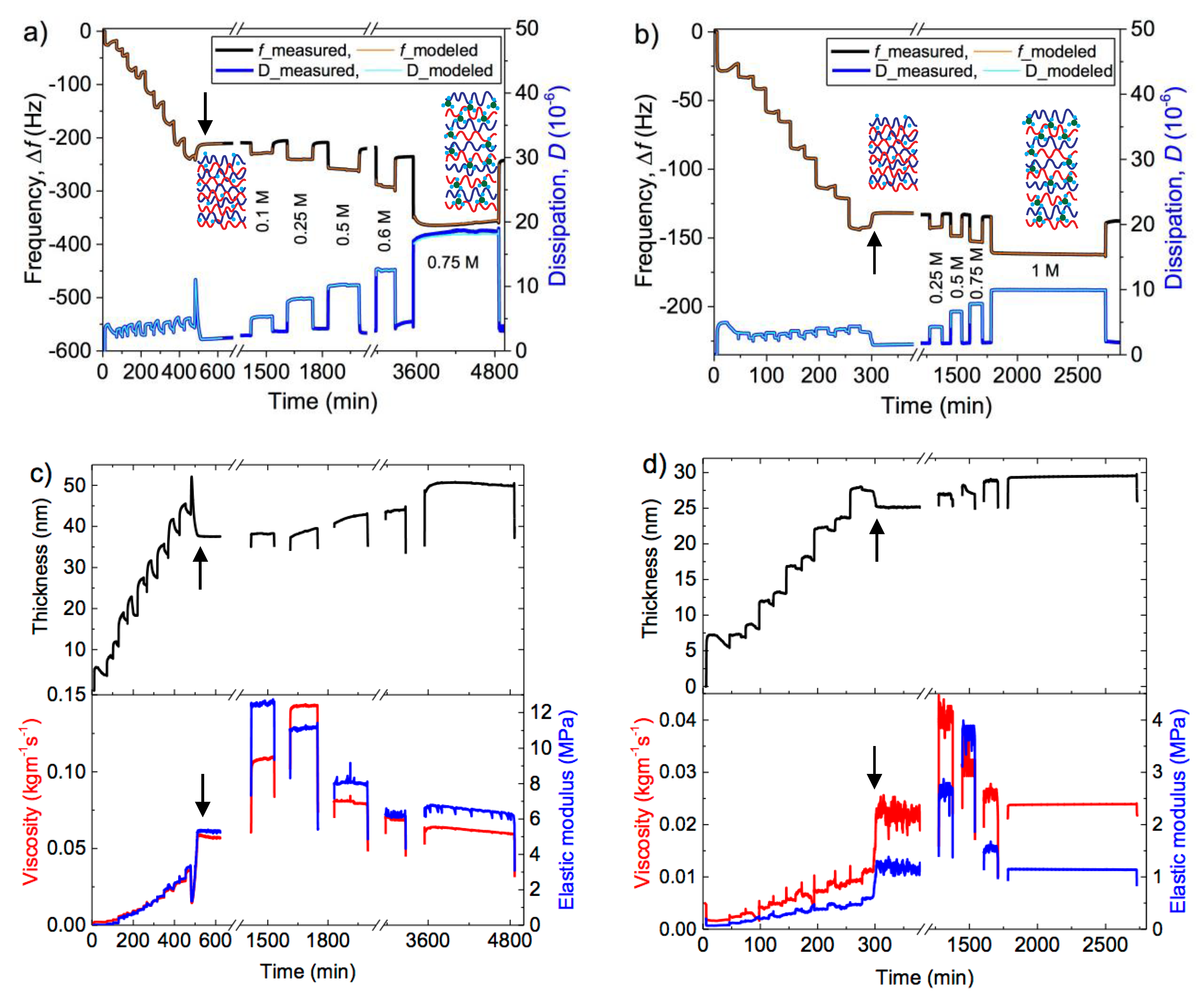 Polymers 11 01285 g002