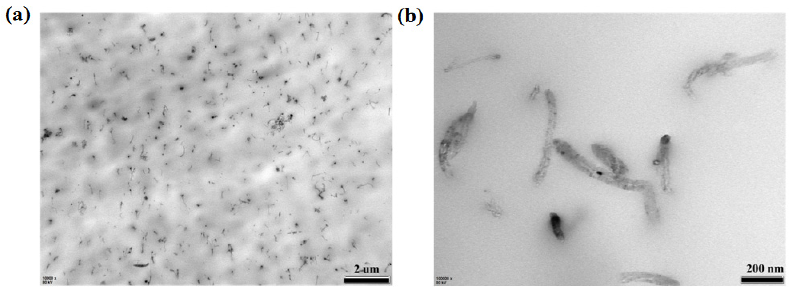 Polymers 11 01294 g003 Polymers 11 01294 g003
