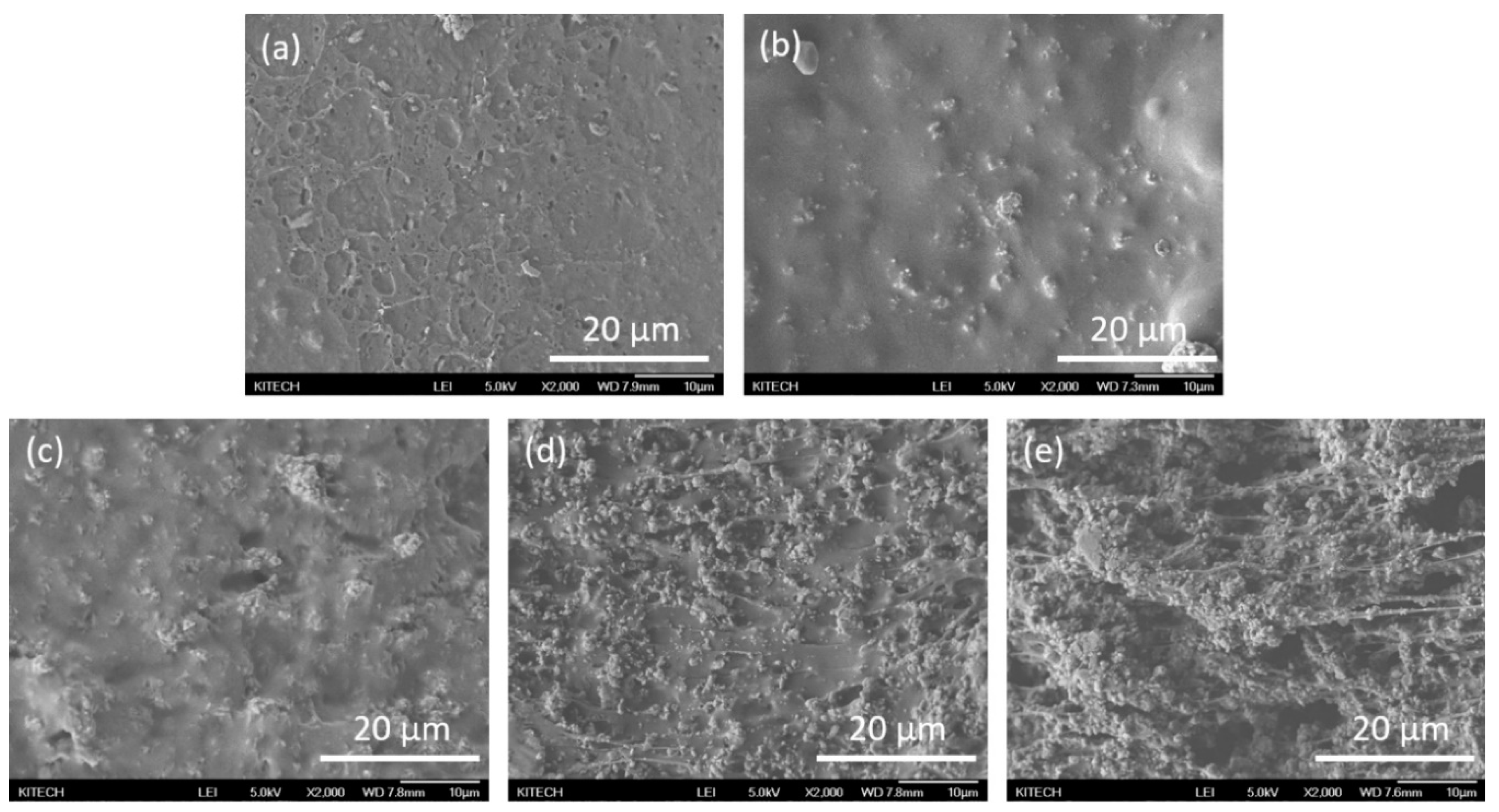 Polymers 11 01298 g005