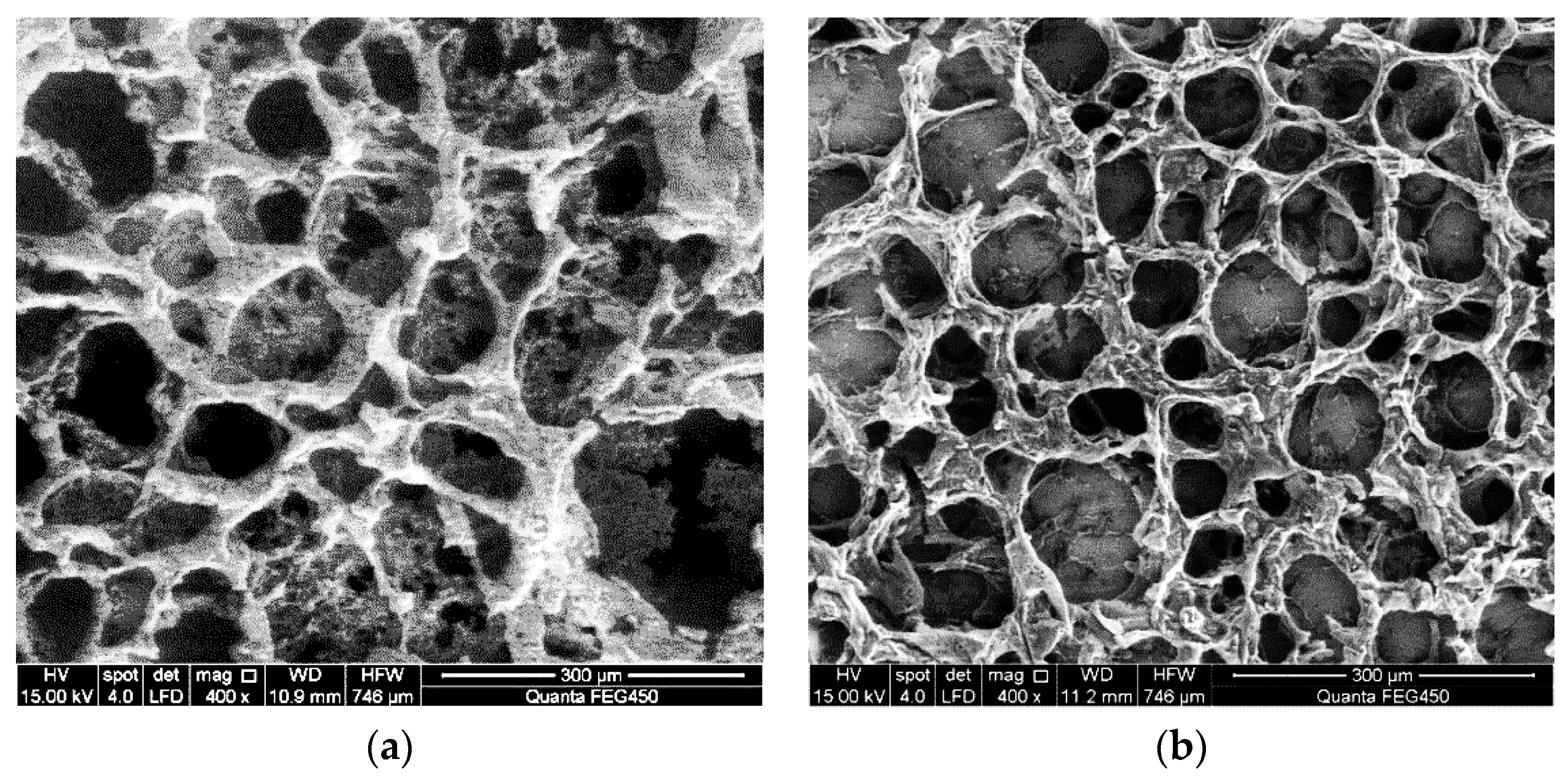 Polymers 11 01299 g004a