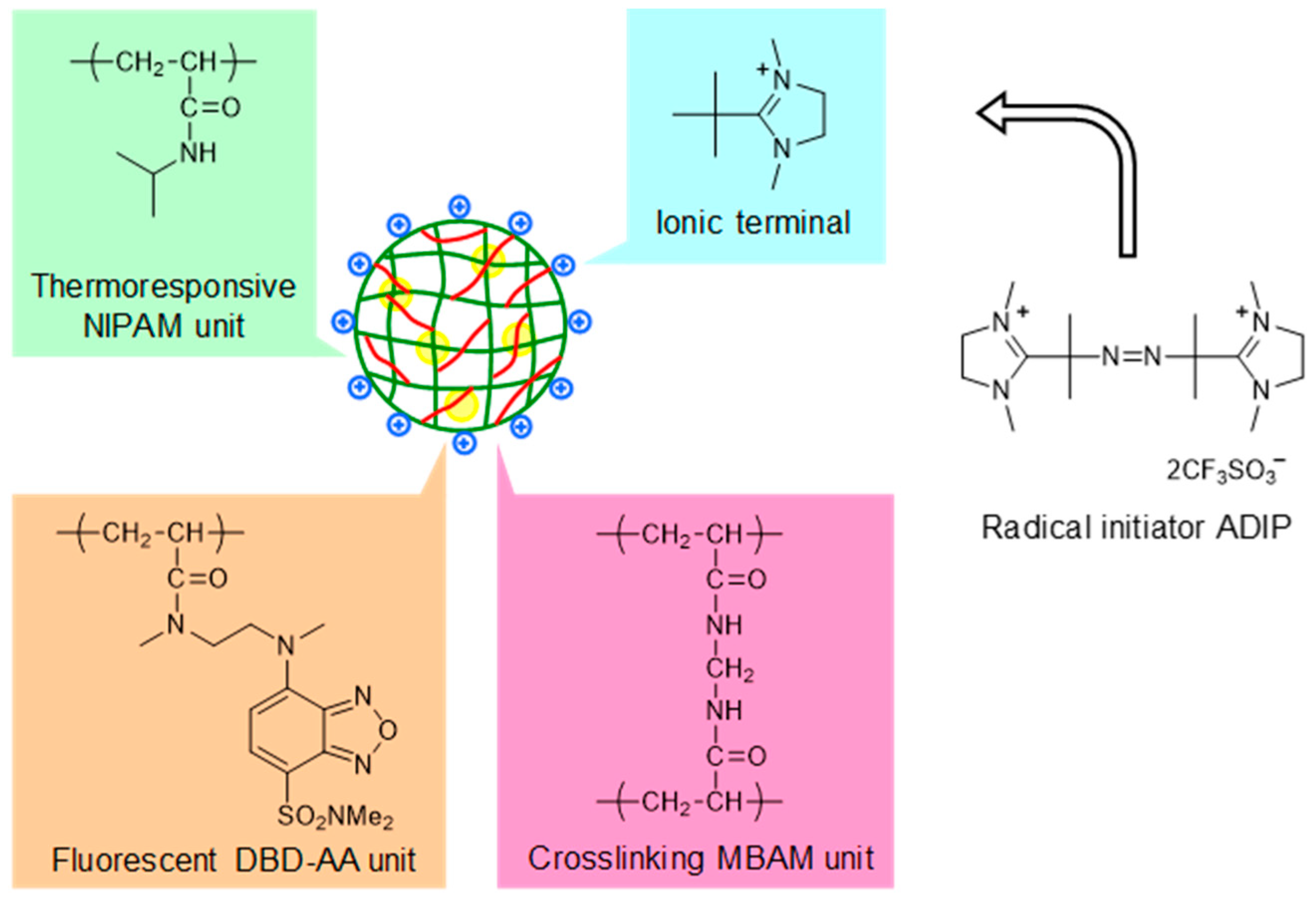 Polymers 11 01305 g001