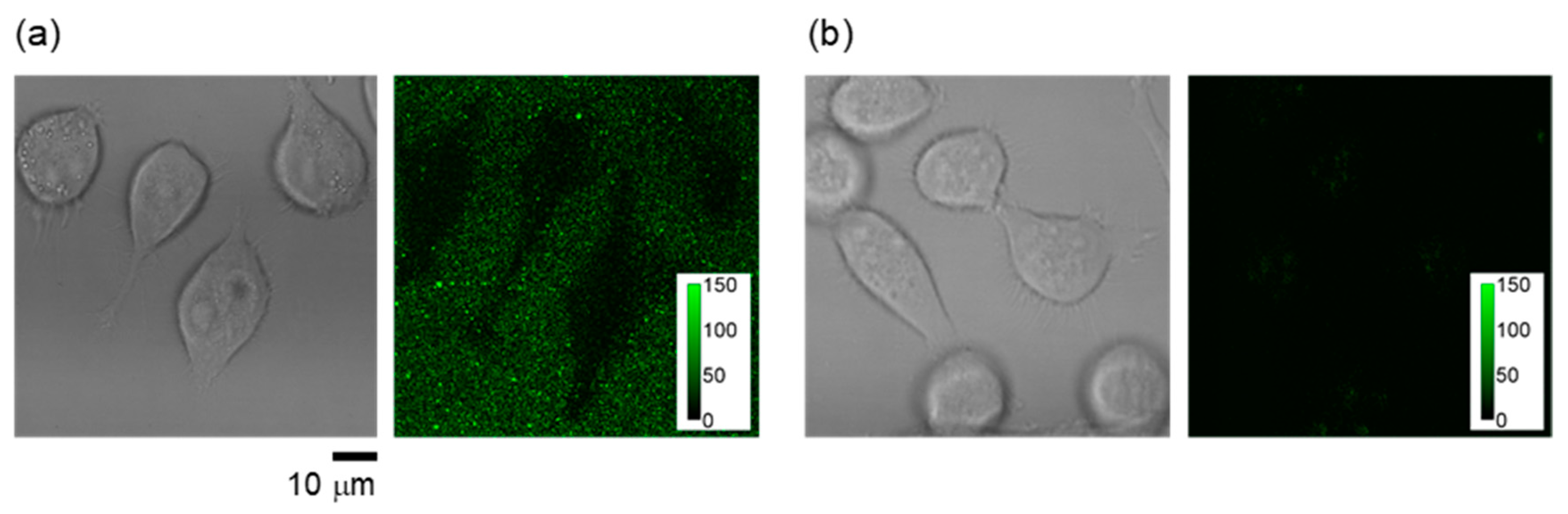 Polymers 11 01305 g006