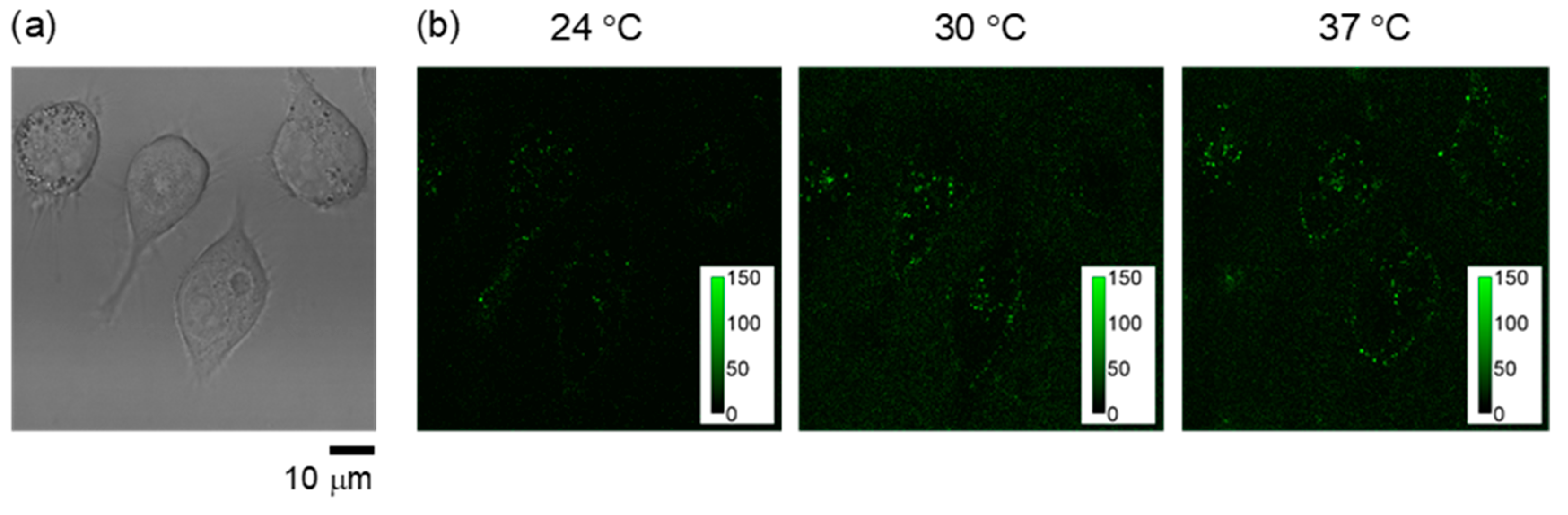 Polymers 11 01305 g007