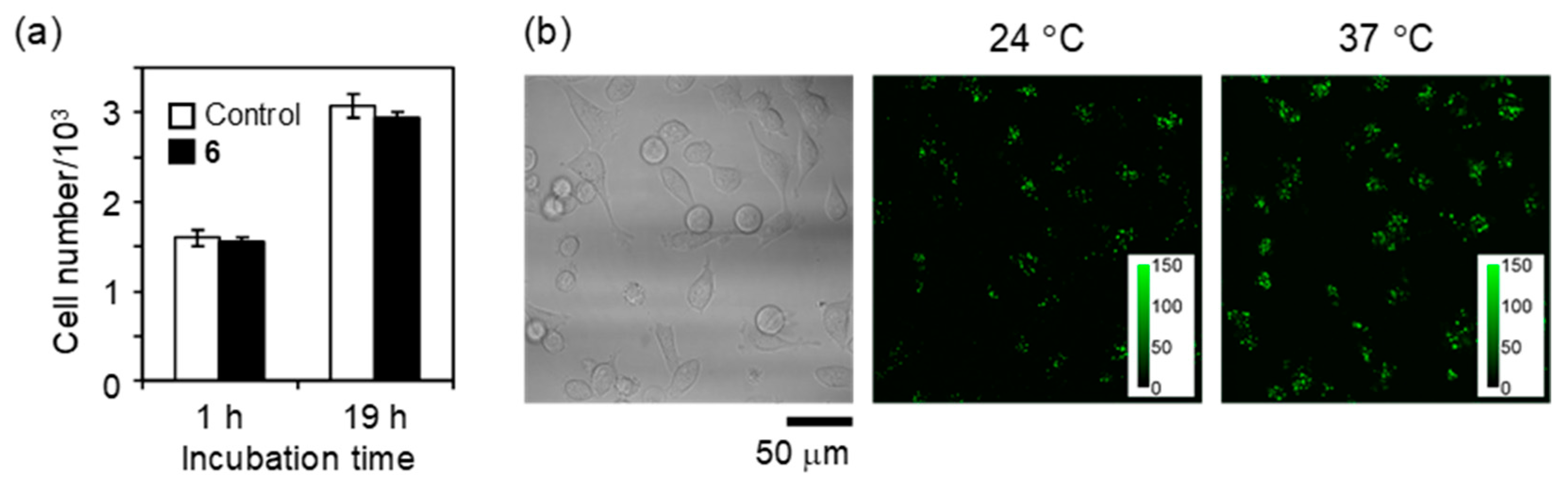 Polymers 11 01305 g008