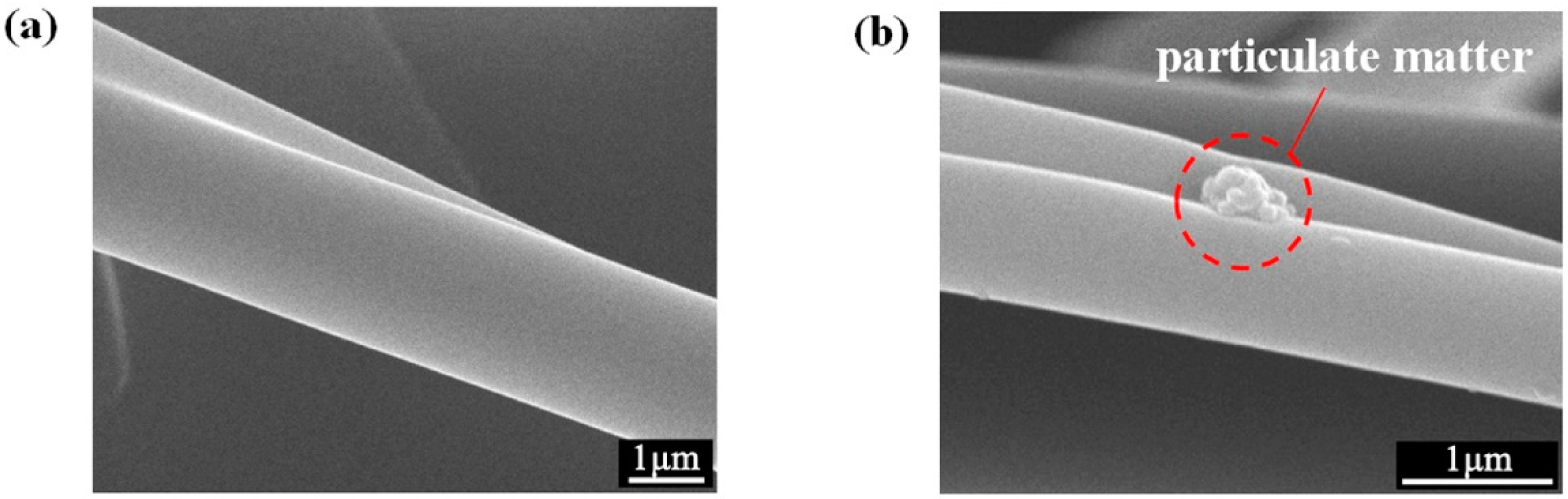 Polymers 11 01307 g012 Polymers 11 01307 g012