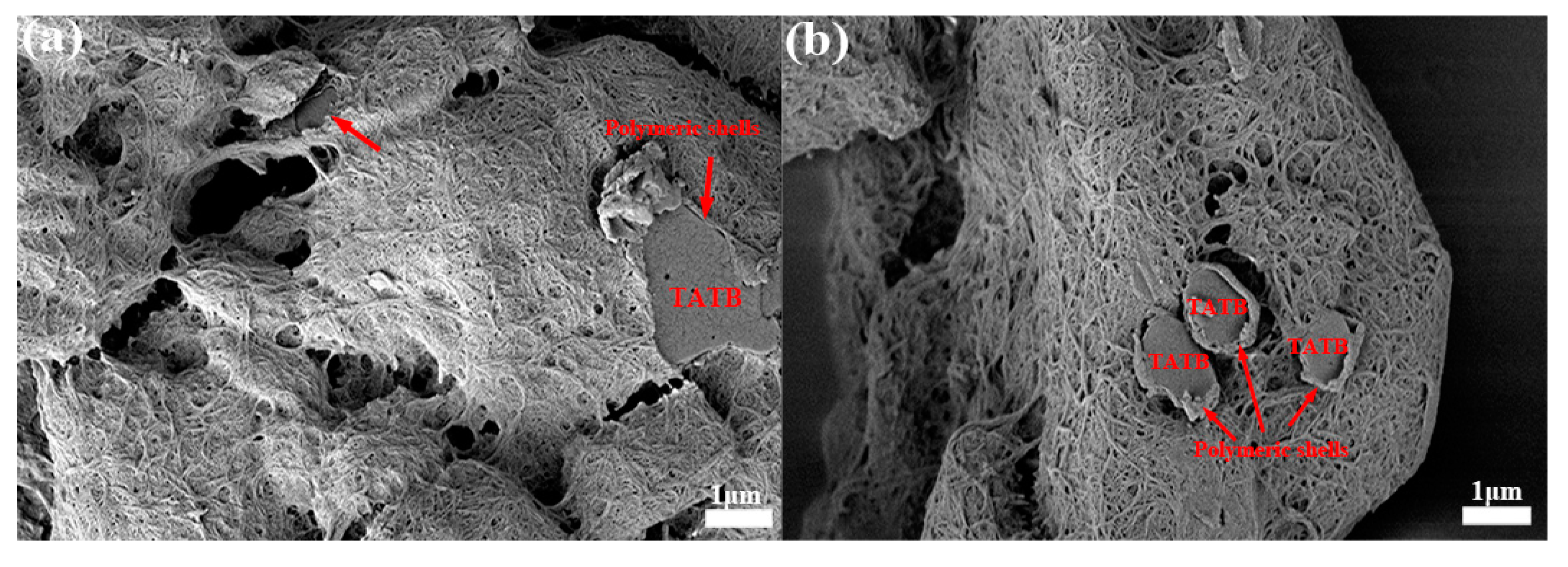 Polymers 11 01308 g003 Polymers 11 01308 g003