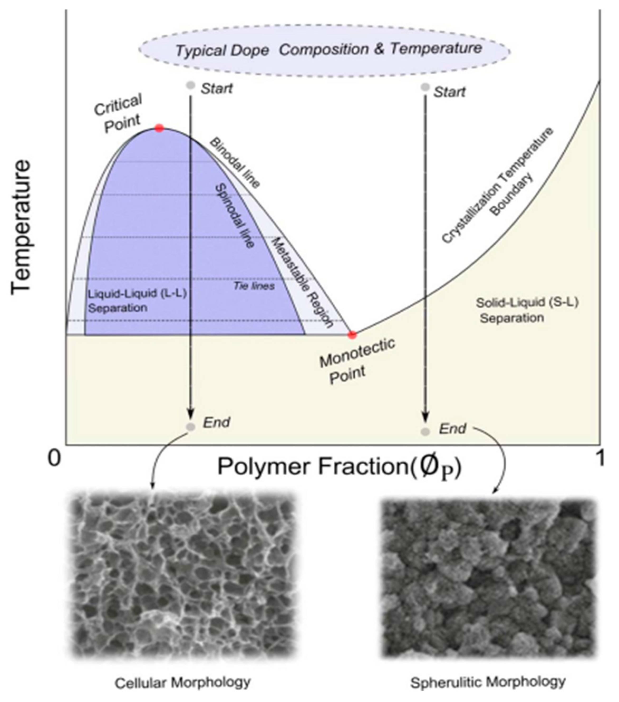 Polymers Free Full Text A Review On Porous Polymeric Membrane Preparation Part Ii Production Techniques With Polyethylene Polydimethylsiloxane Polypropylene Polyimide And Polytetrafluoroethylene Html