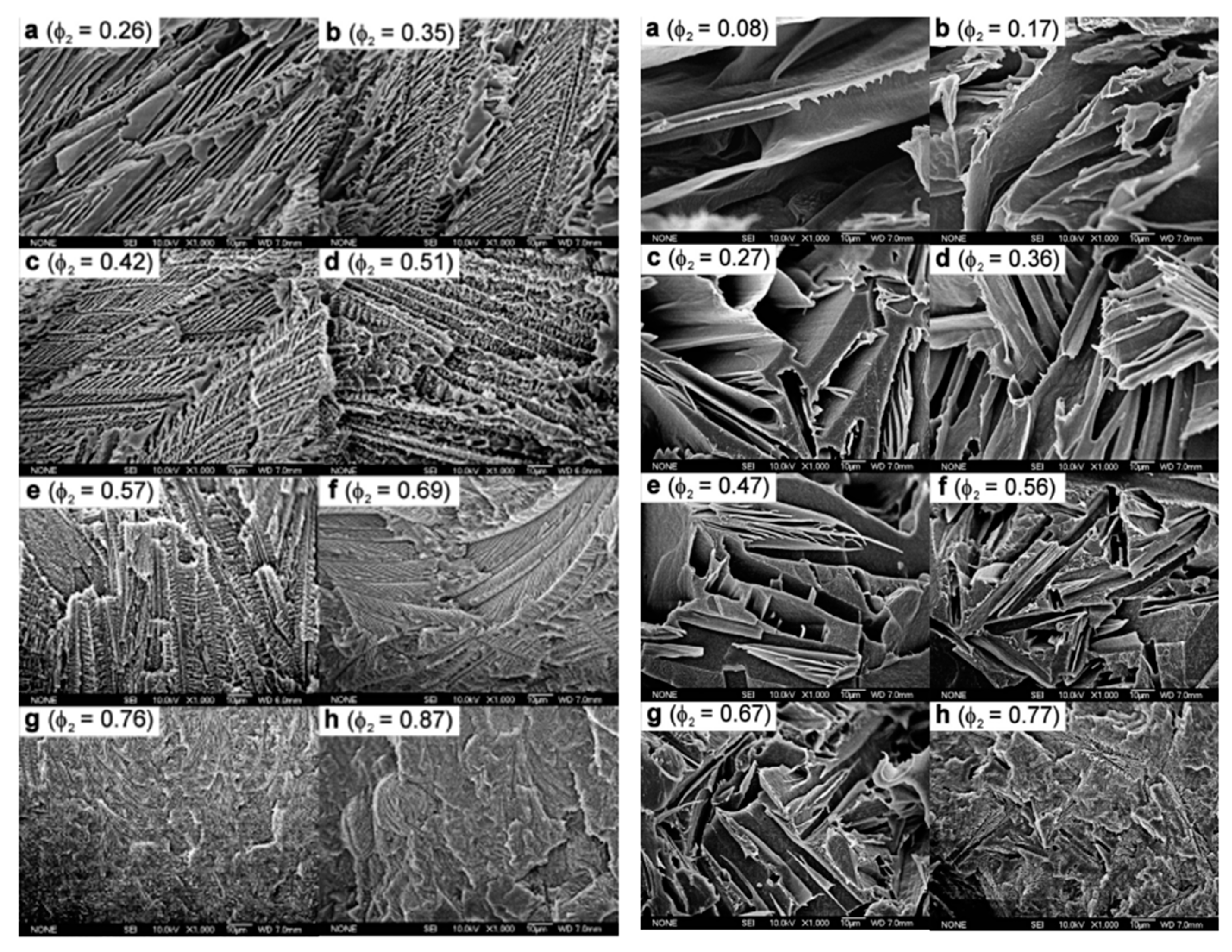 Polymers 11 01310 g009 Polymers 11 01310 g009