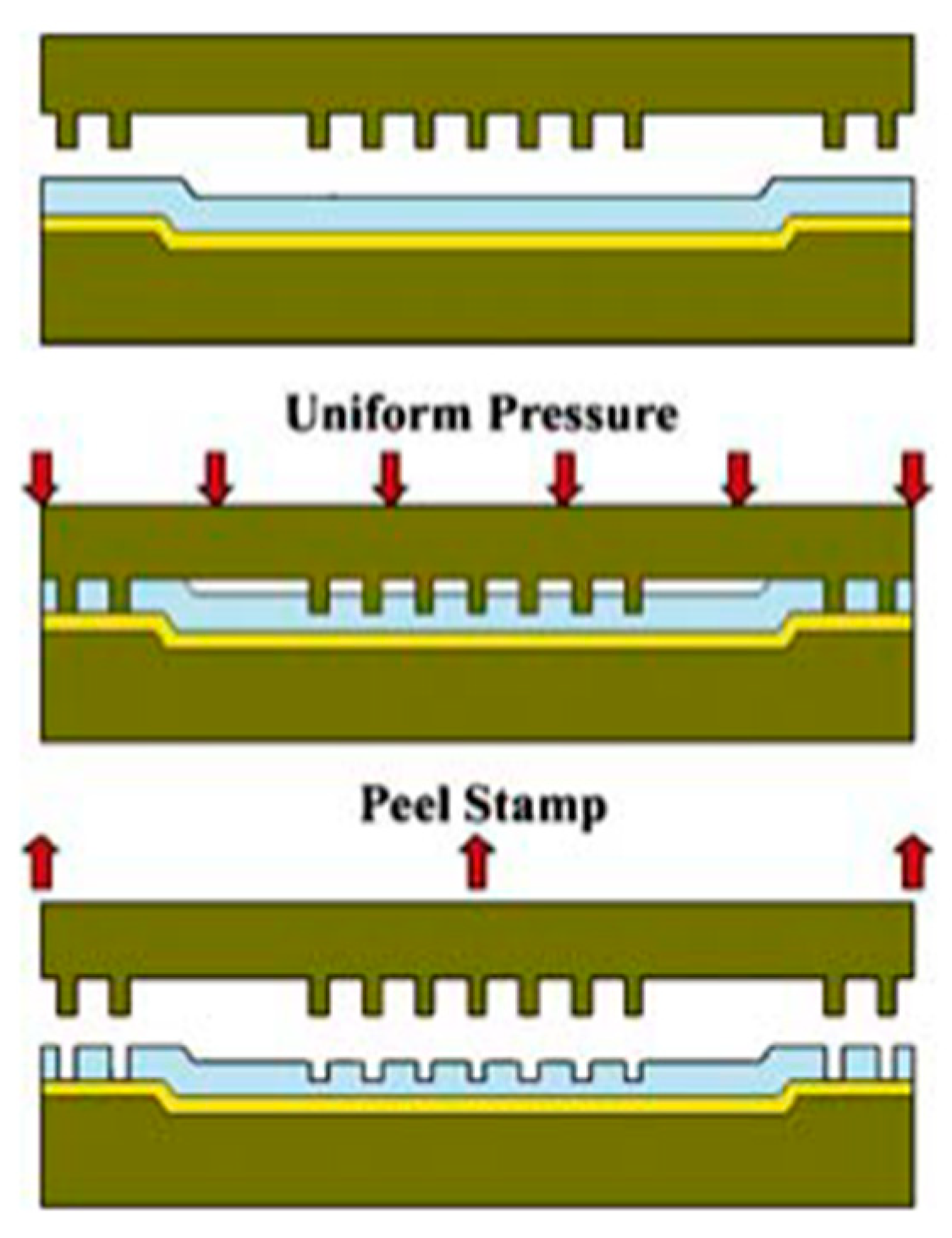 Polymers 11 01310 g020 Polymers 11 01310 g020