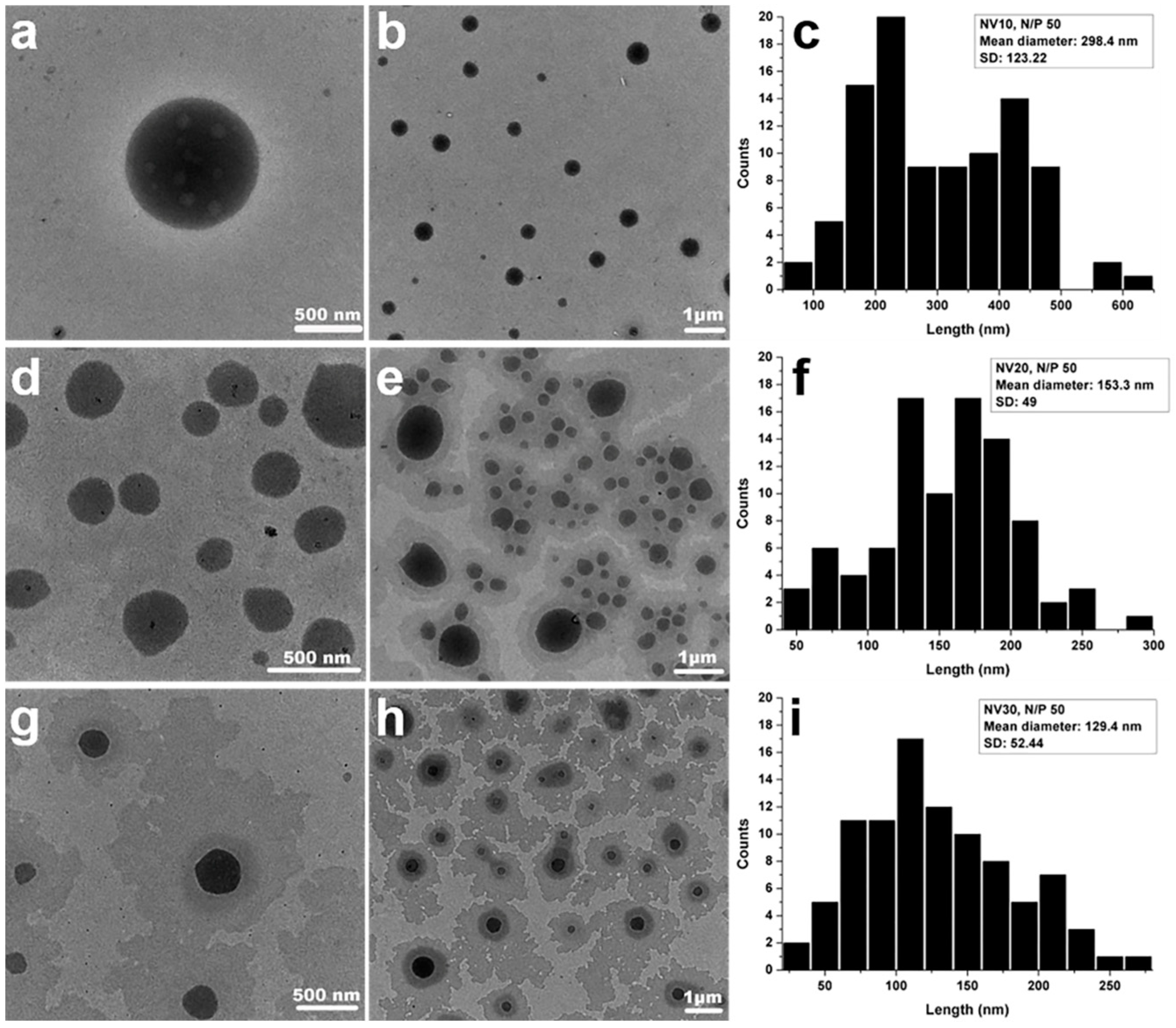 Polymers 11 01313 g002