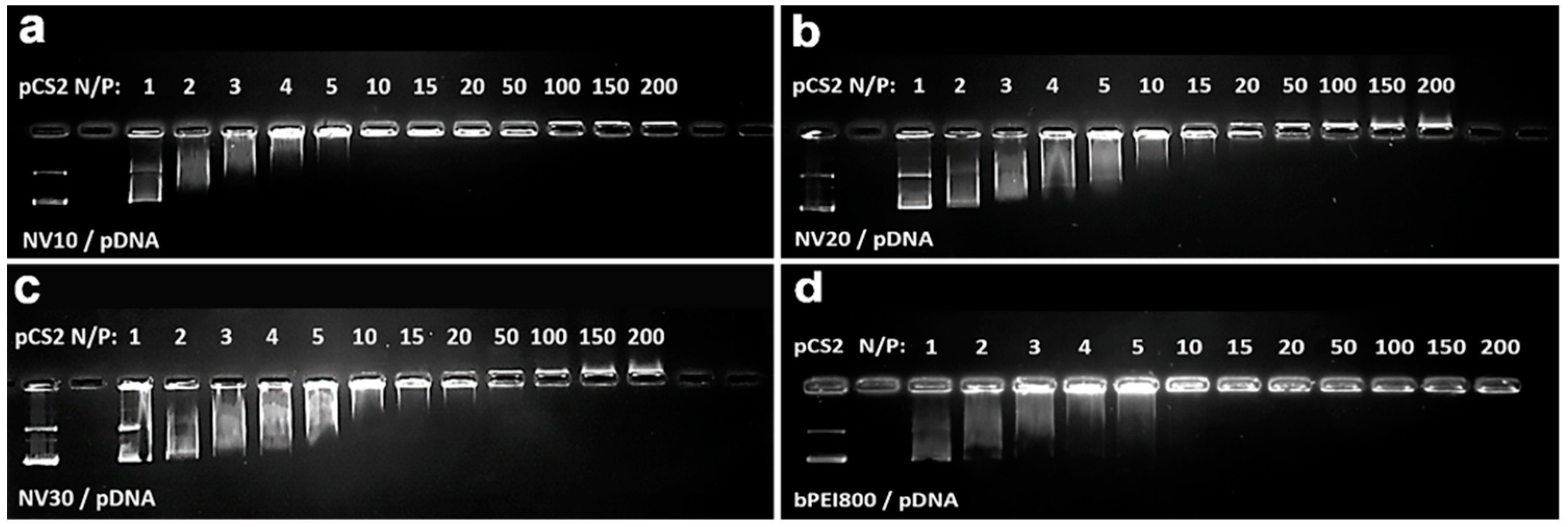 Polymers 11 01313 g004