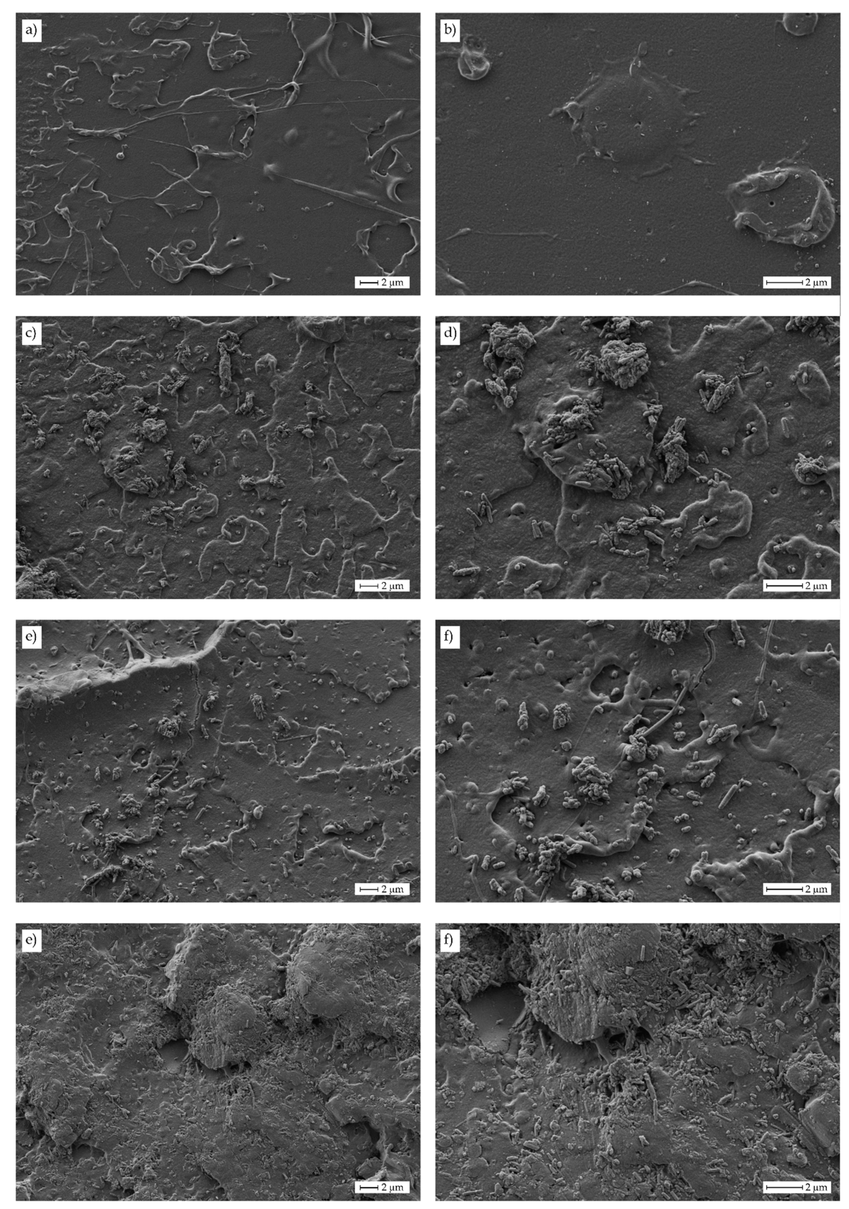 Polymers 11 01314 g003 Polymers 11 01314 g003