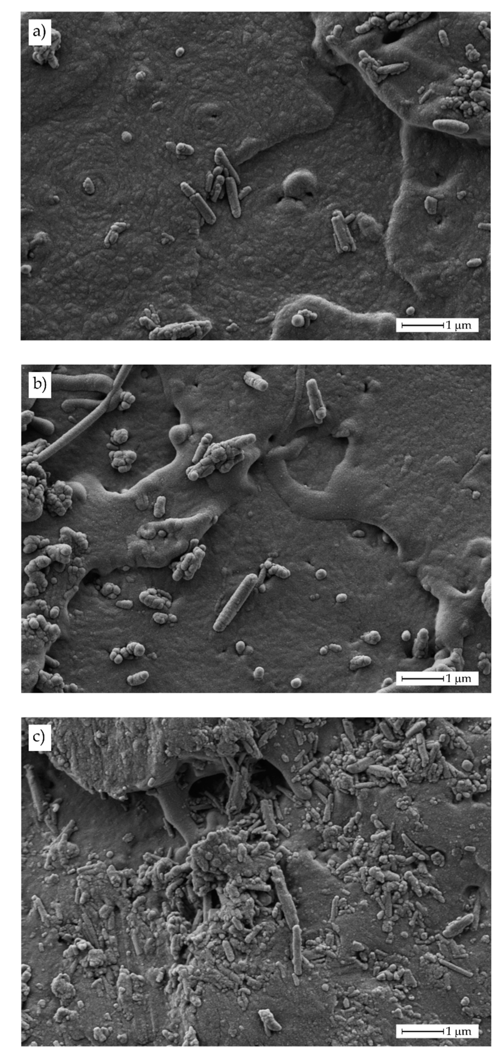 Polymers 11 01314 g004 Polymers 11 01314 g004