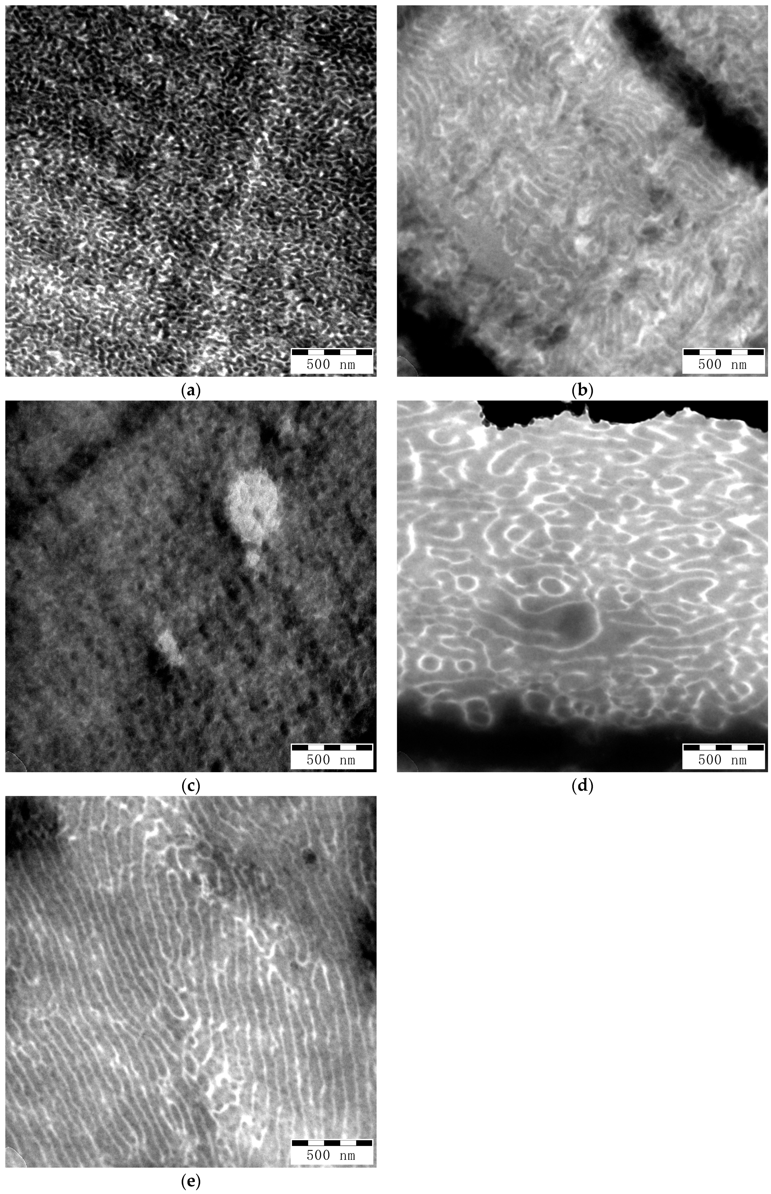 Polymers 11 01317 g007