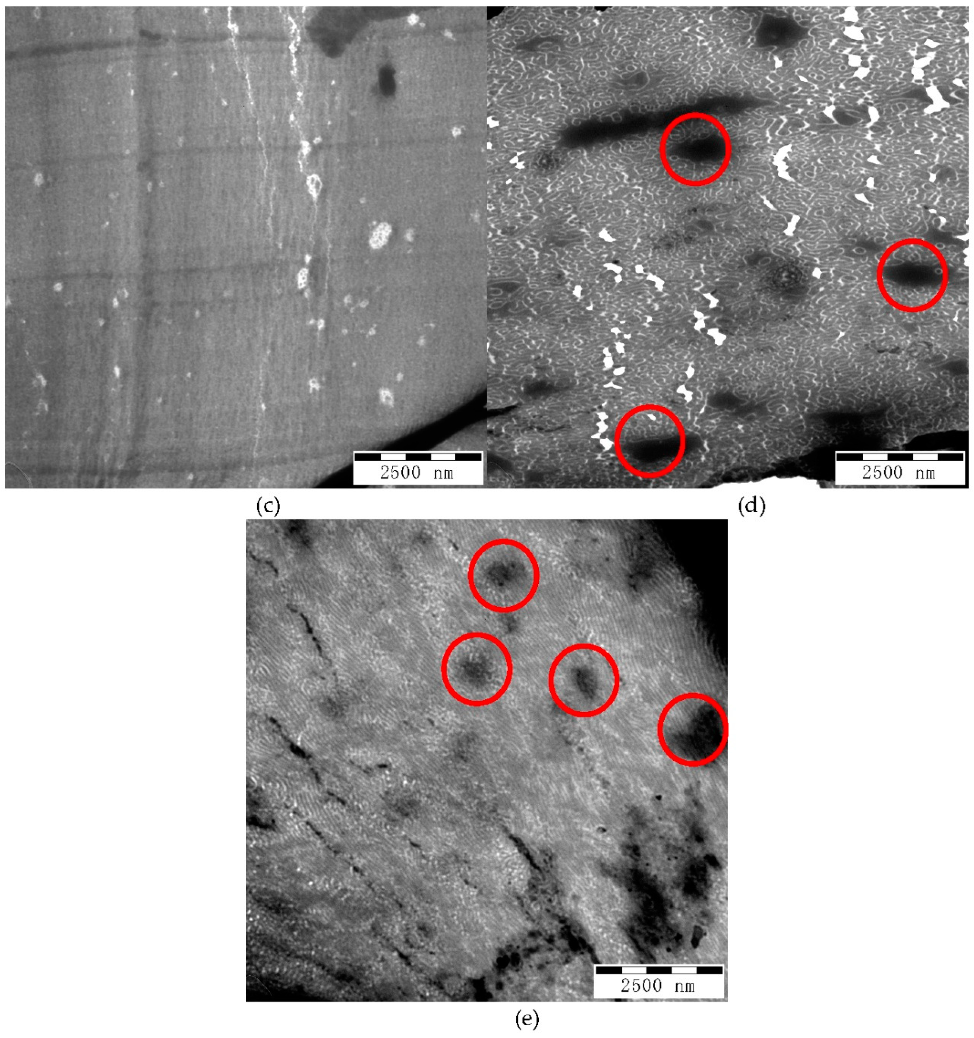Polymers 11 01317 g008b