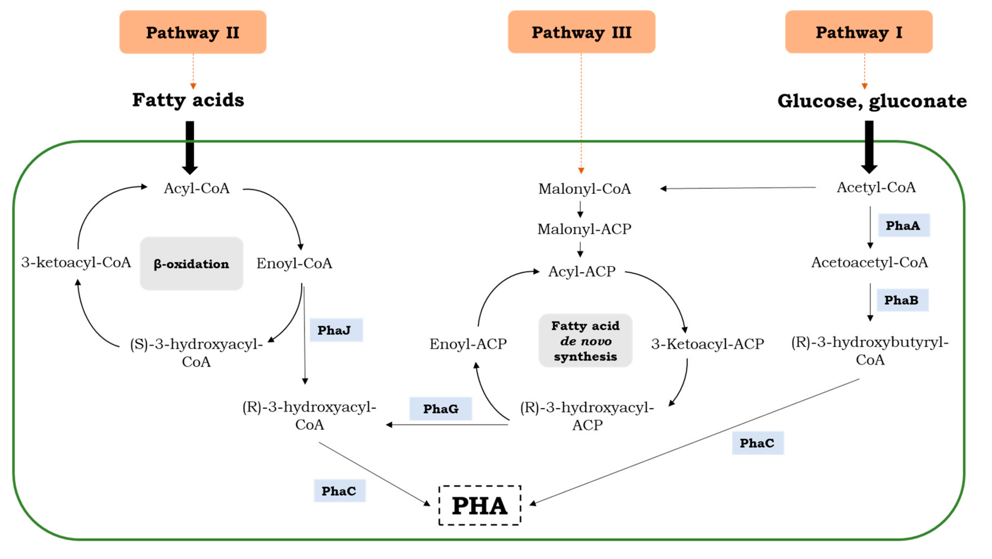 Polymers 11 01328 g002