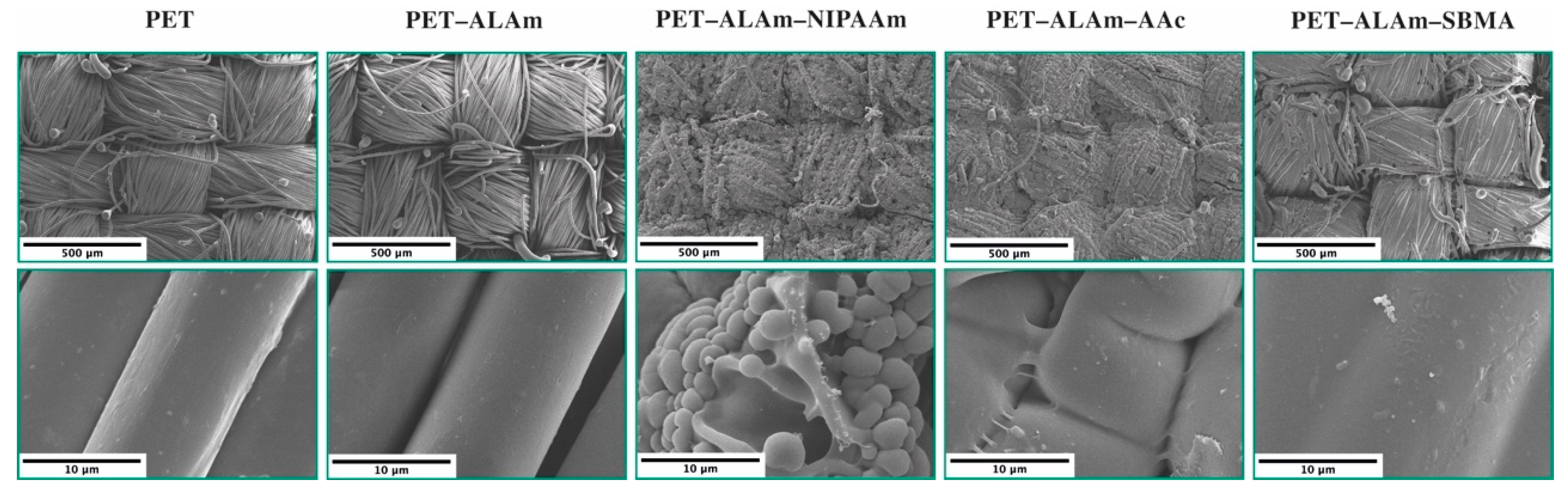 Polymers 11 01329 g004