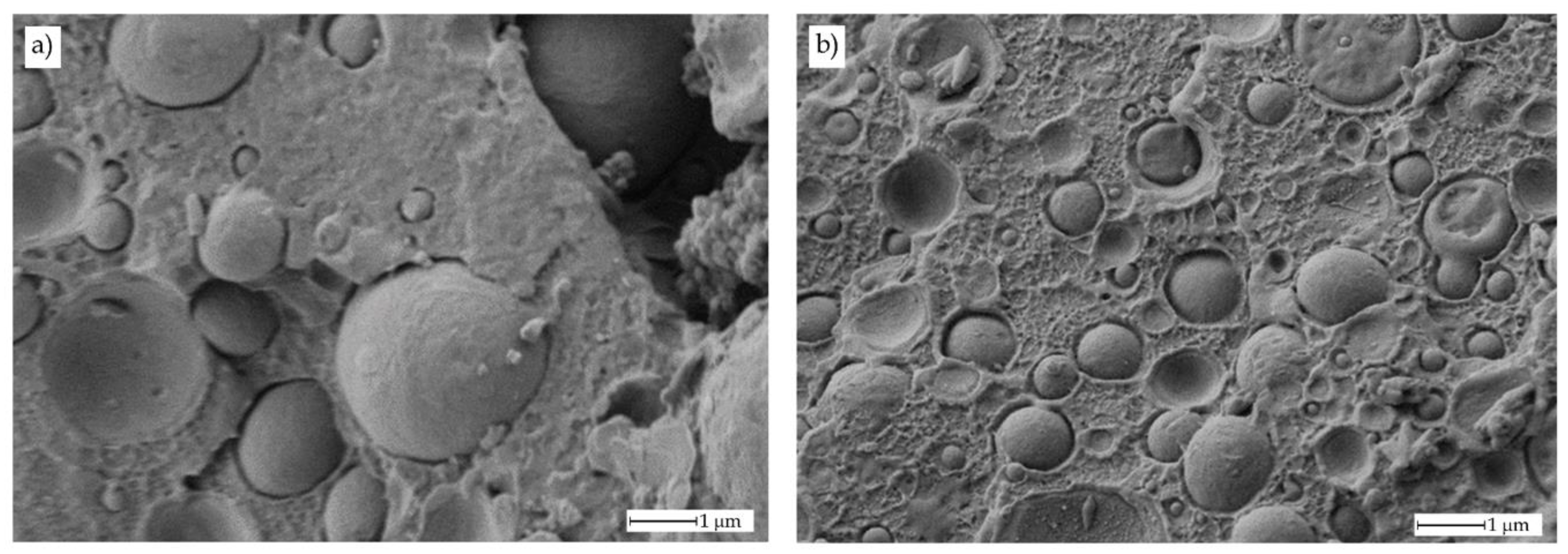 Polymers 11 01331 g005