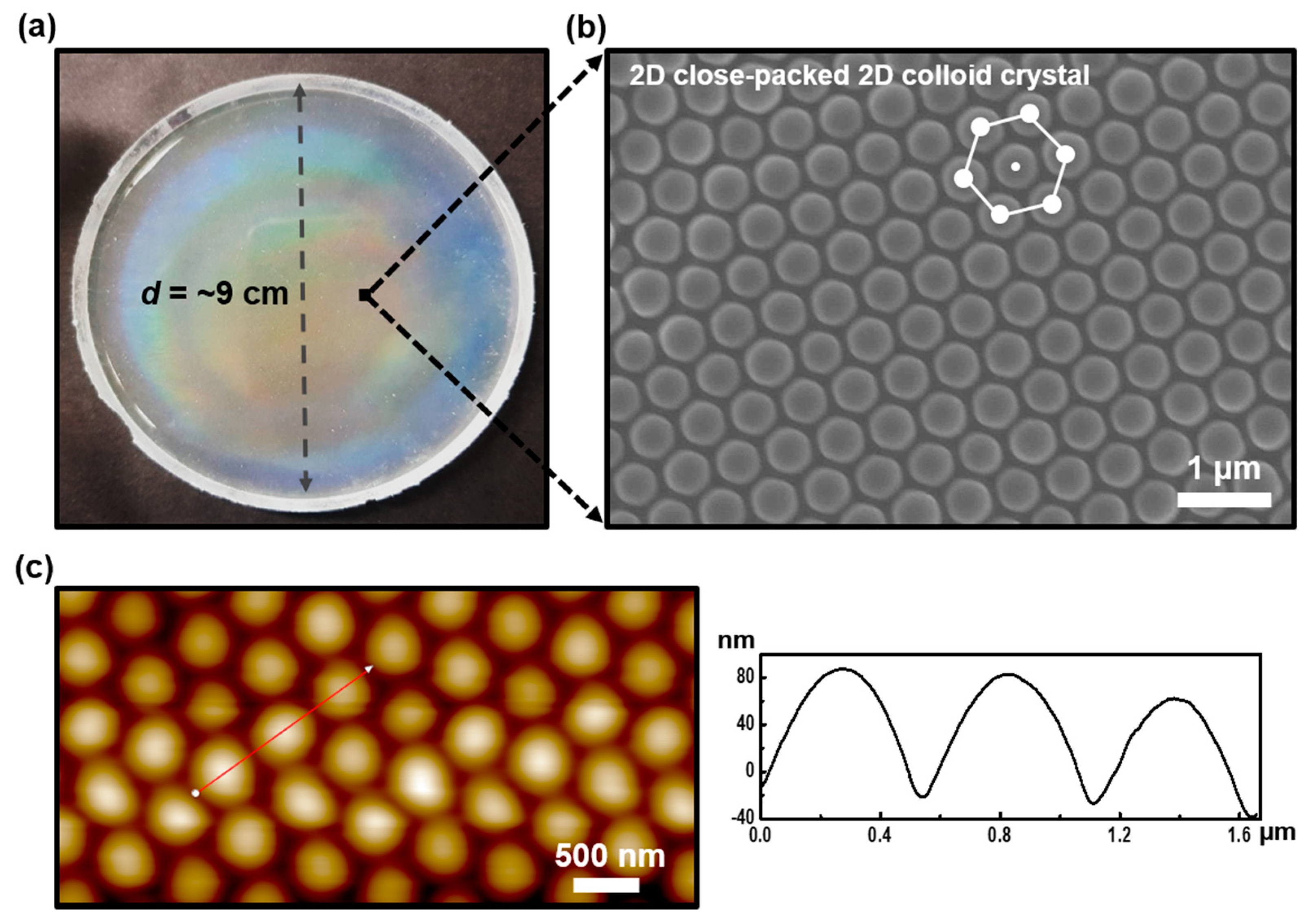 Polymers 11 01332 g001